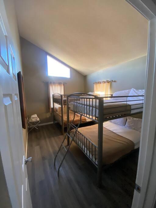 Lakeshore-Bachelor/Bachelorette Parties welcomed!