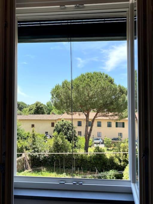 Casa Loretta - bright and spacious in Vicopisano, photo 19