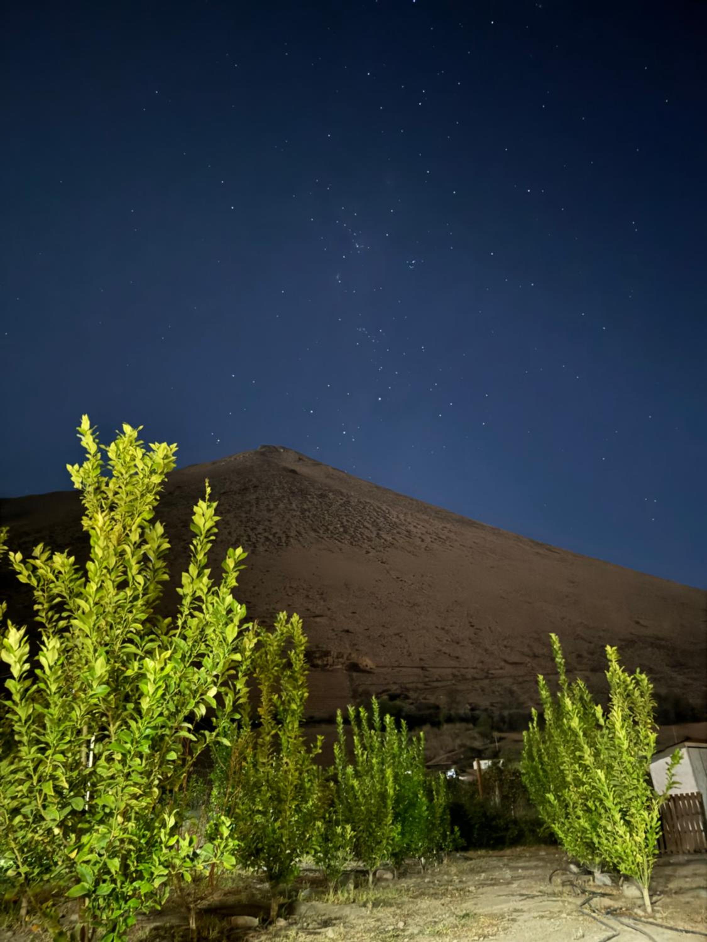 Cabañas Vicuña Cielo de Peralillo - Valle de Elqui