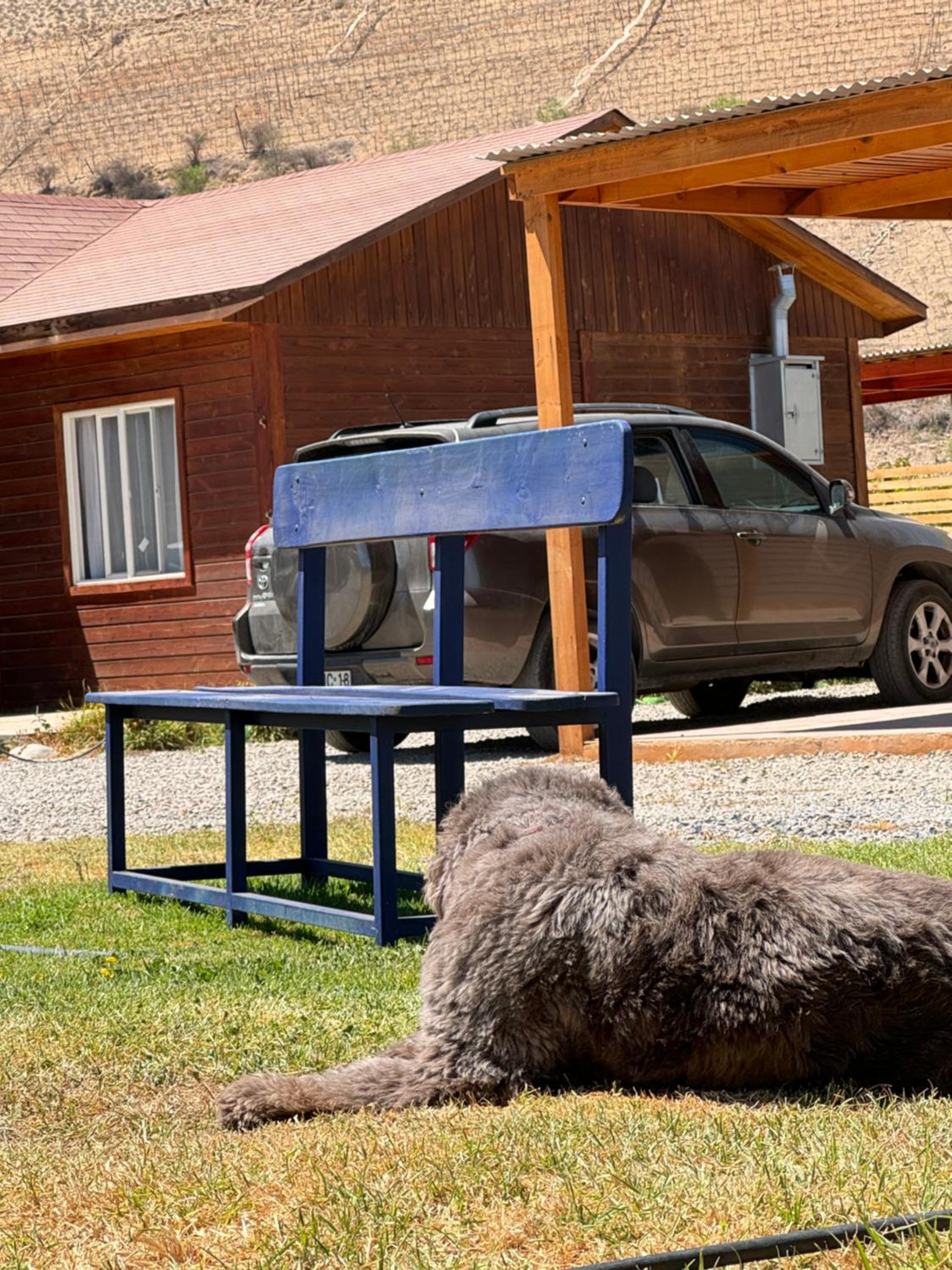 Cabañas Vicuña Cielo de Peralillo - Valle de Elqui