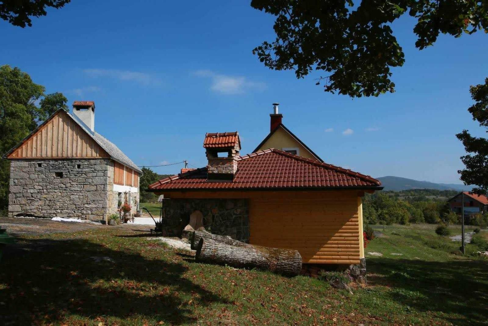 Old house Rustica with pool, jacuzzi and tavern - Valincic view 5