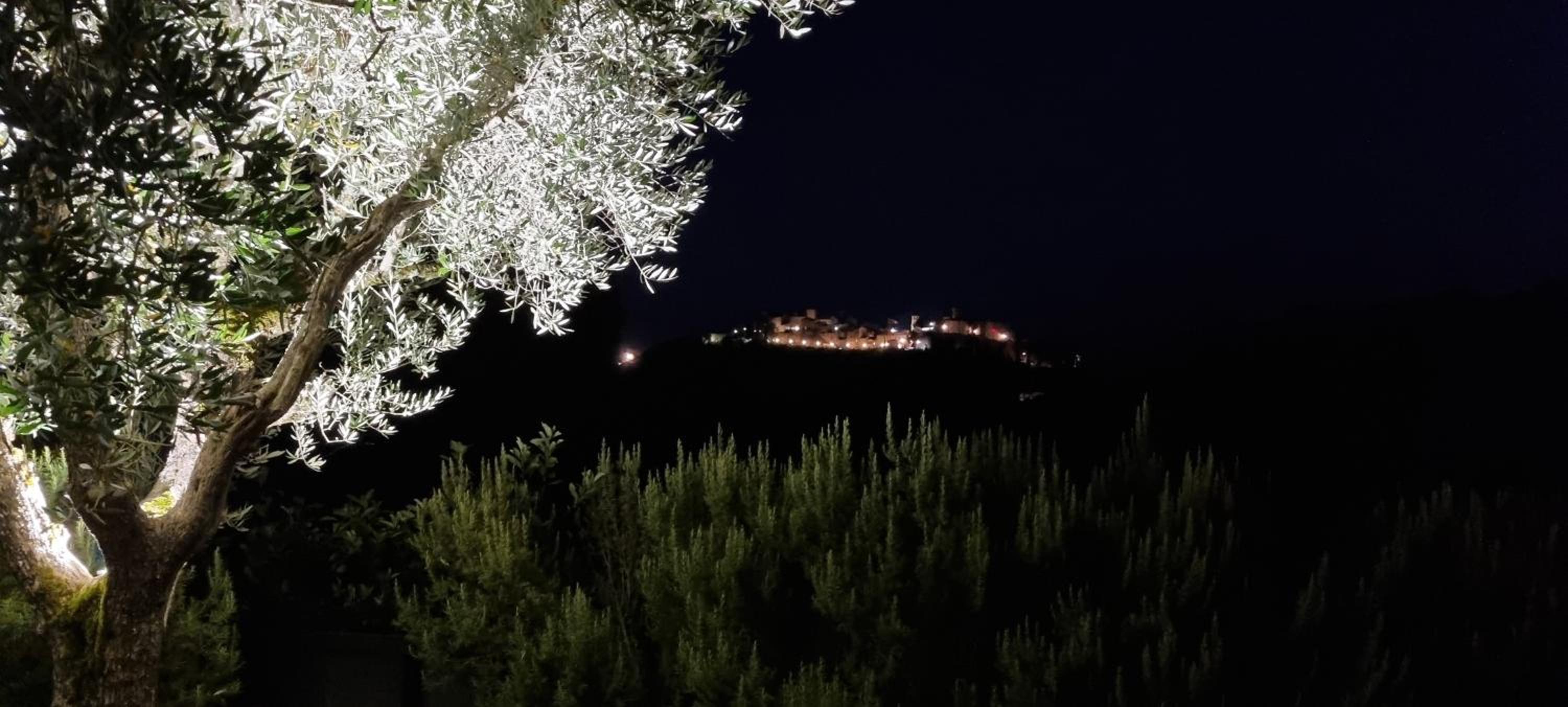 Borgo Cardaneto