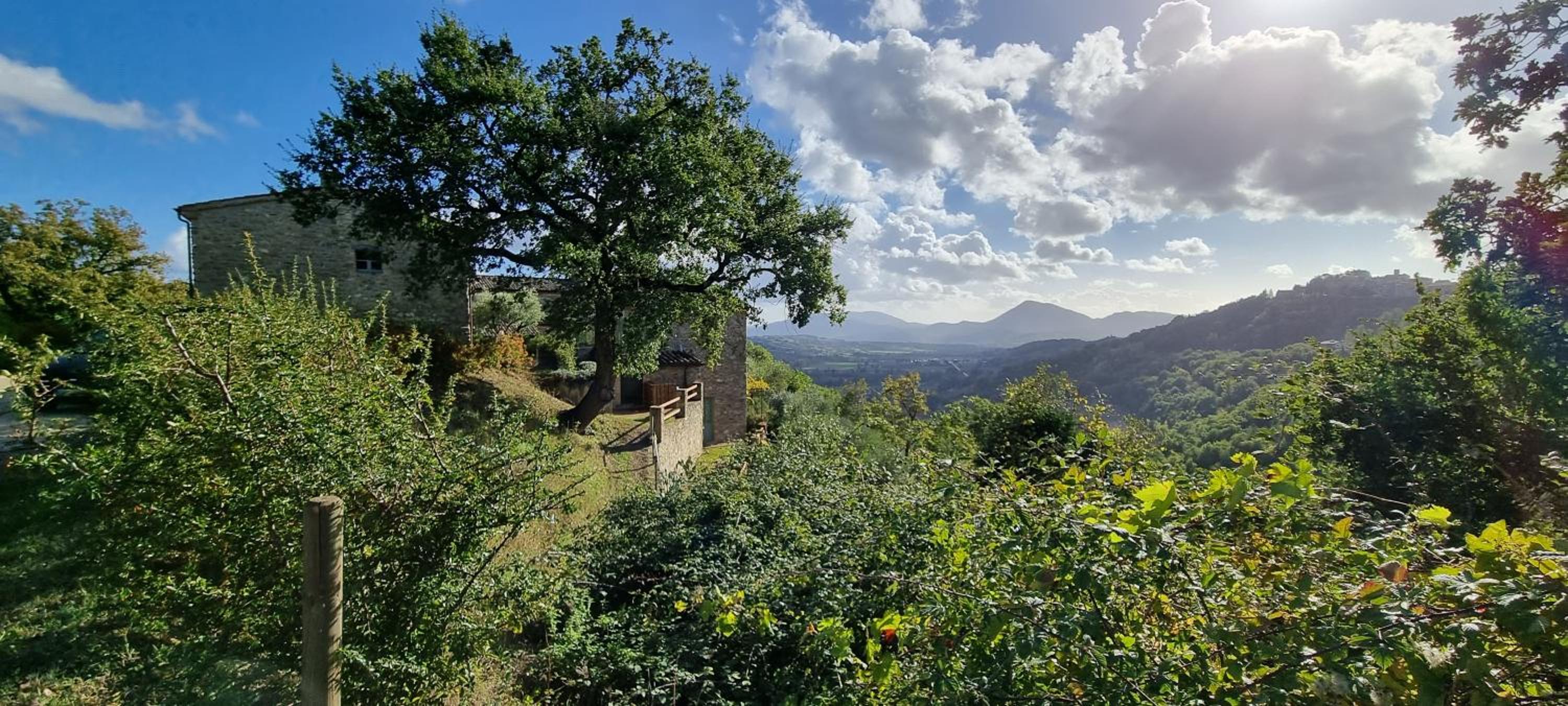 Borgo Cardaneto