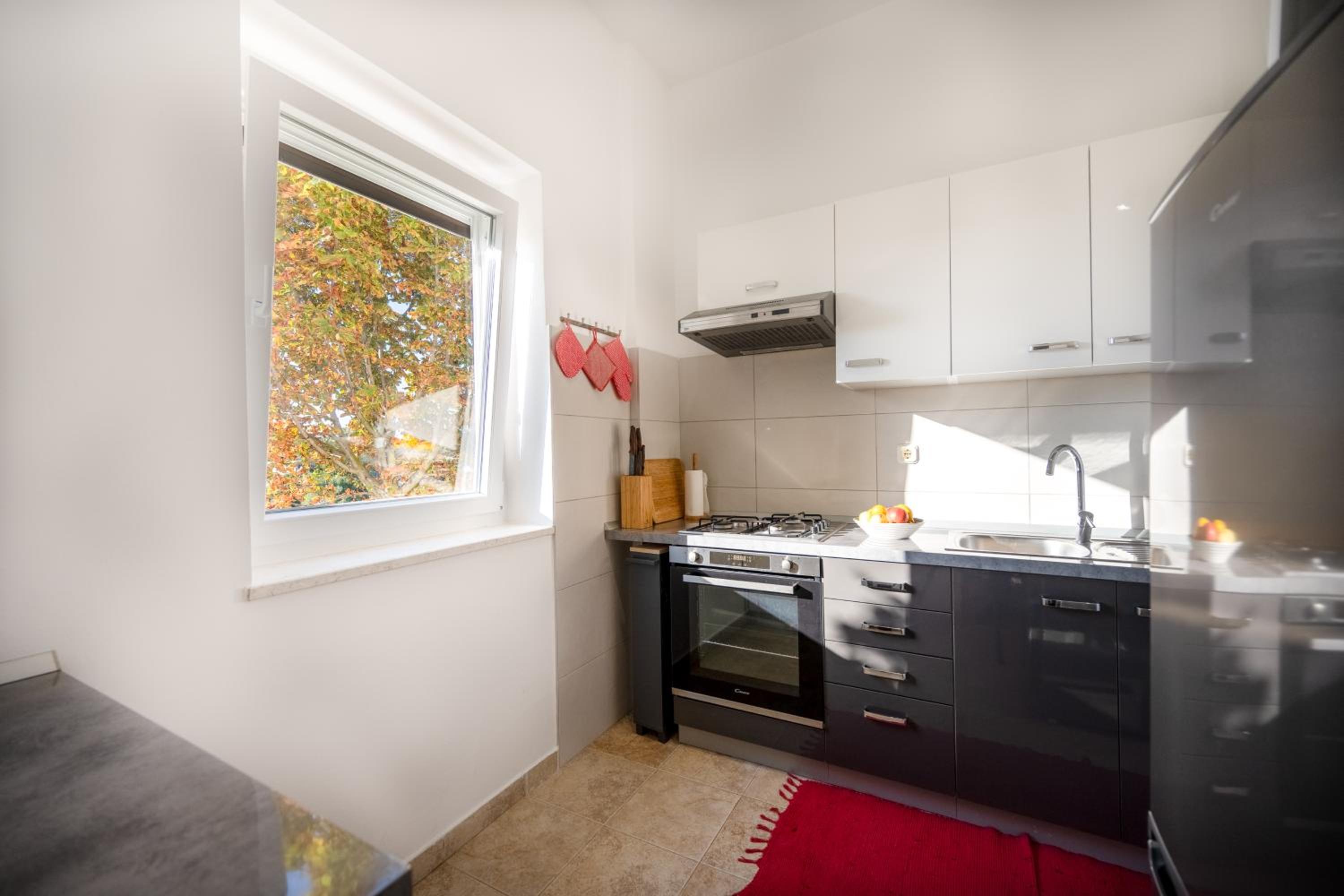 Apartments Niki