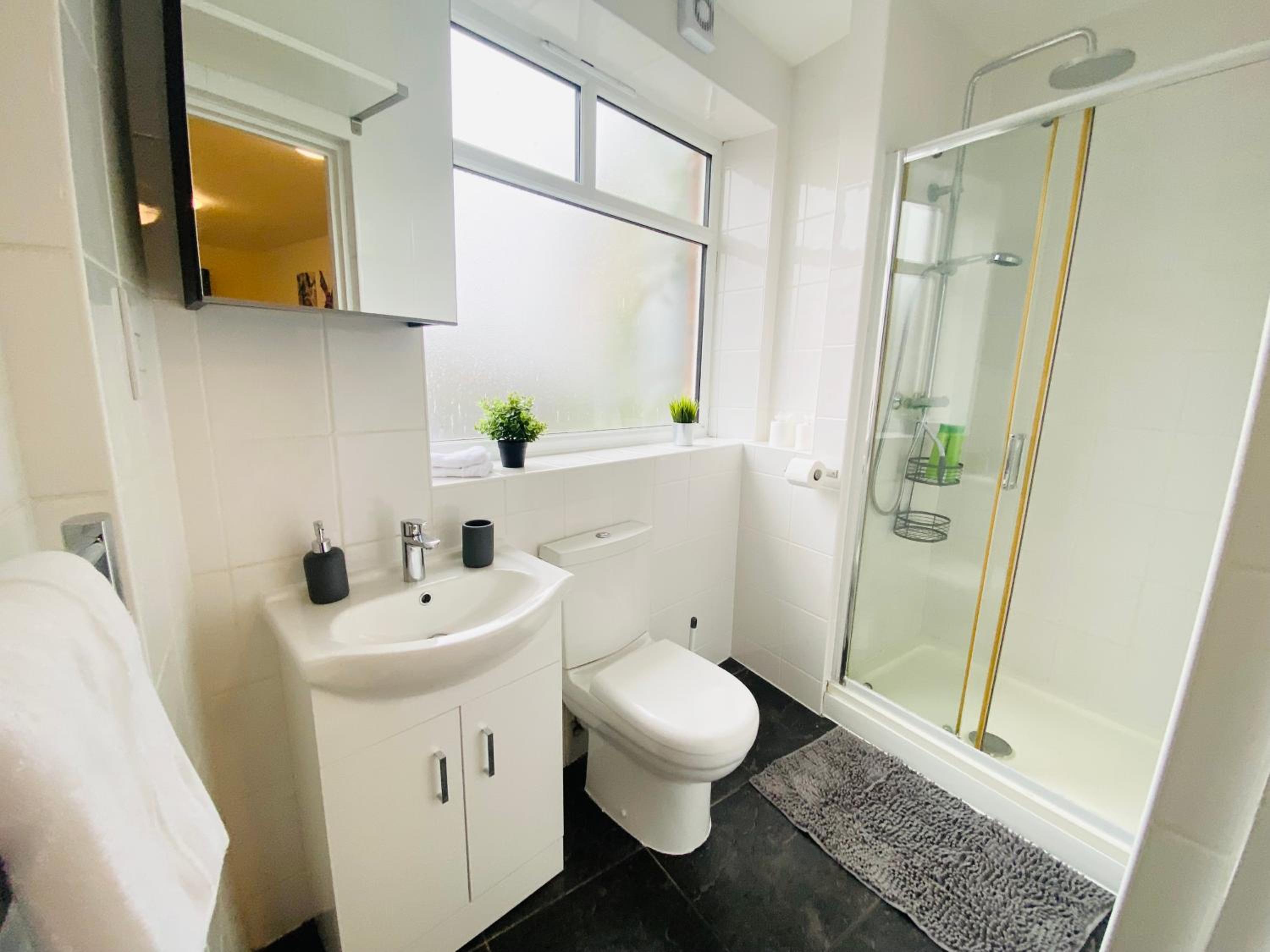 Luton Luxury Apartment view 2