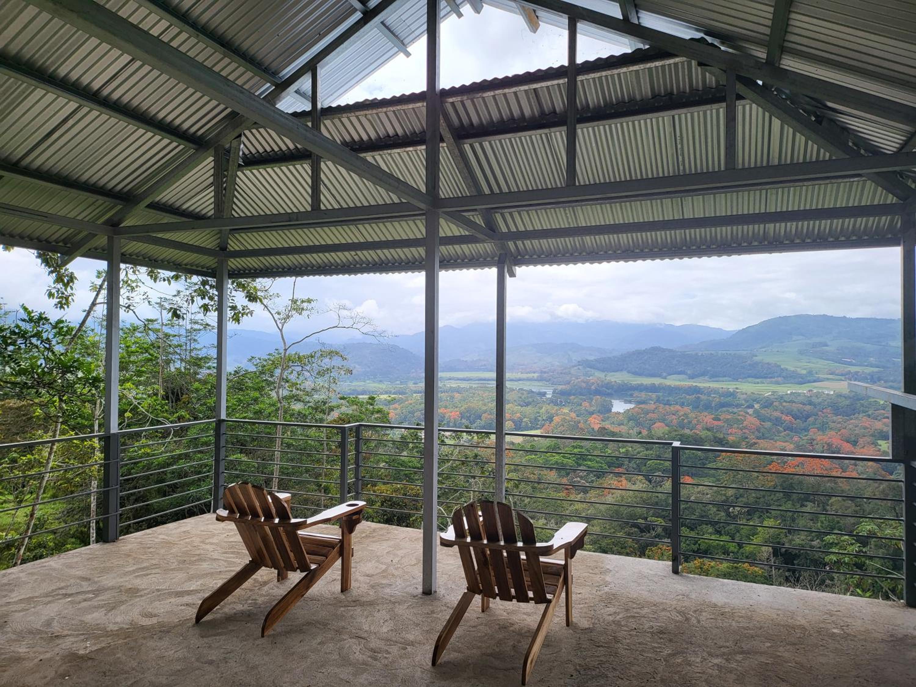 The Calm House