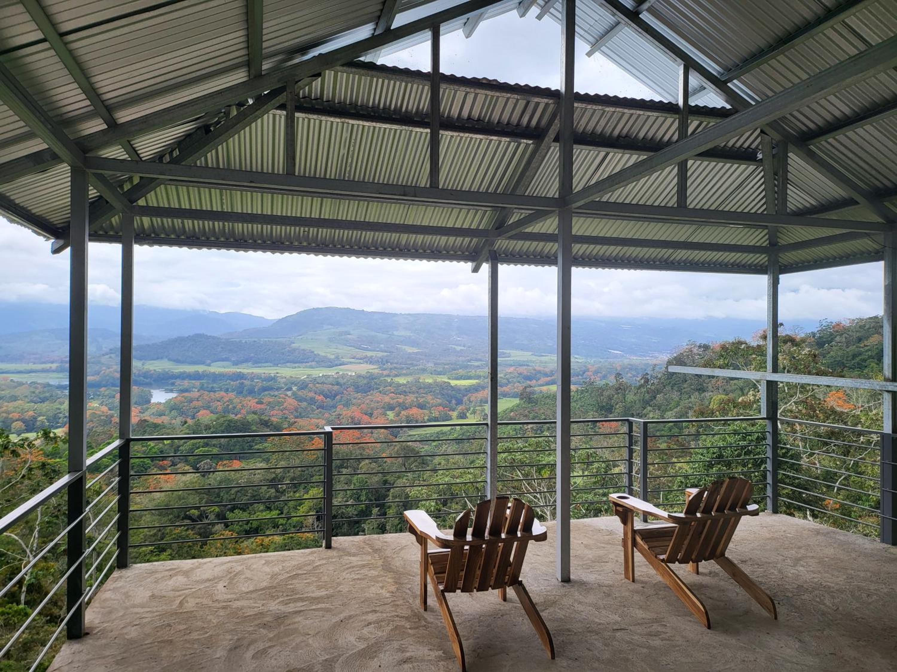 The Calm House