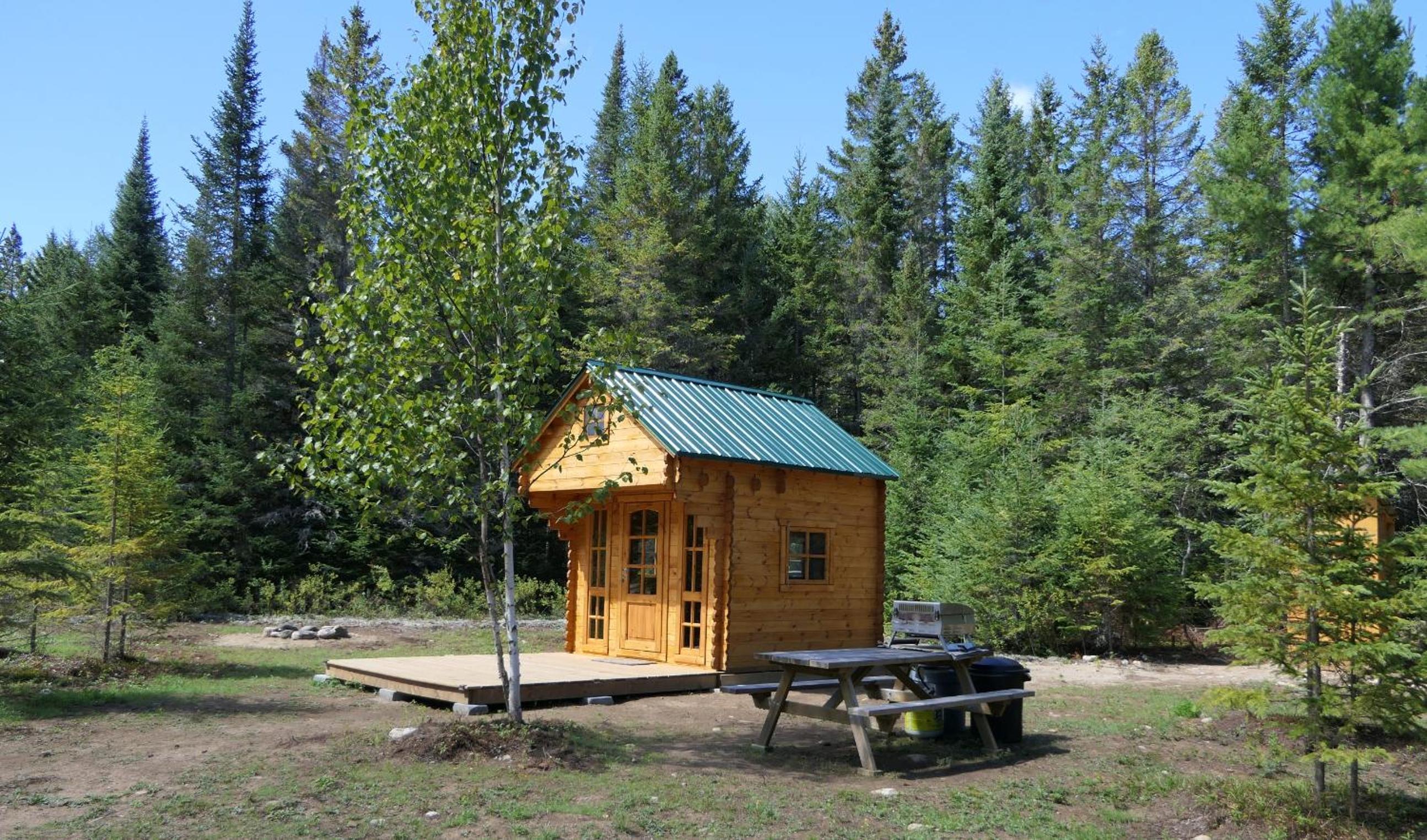 Deer Meadow #1