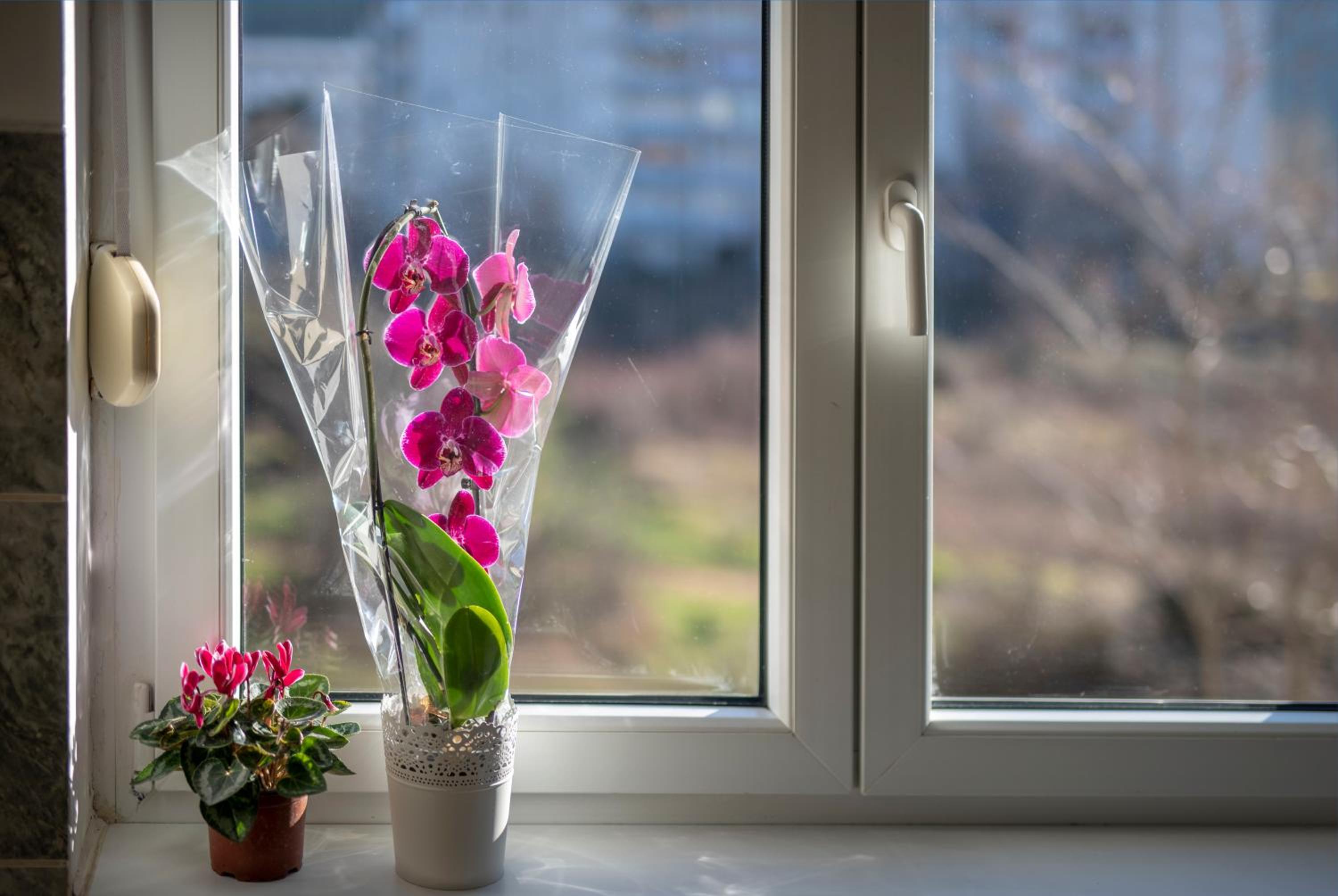 Apartman Mila Trebinje