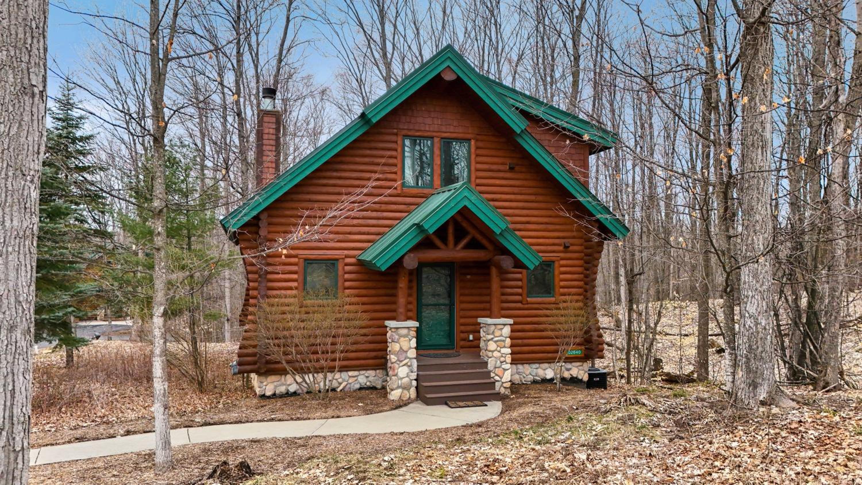816 Mountain Cabin view 4