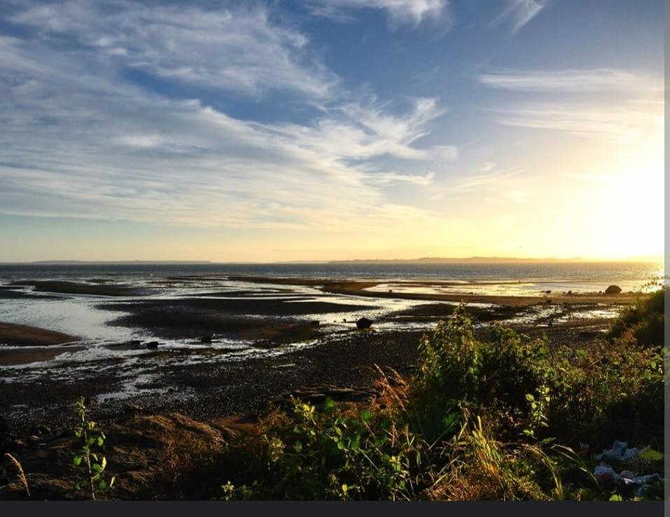 Costa Coihuin
