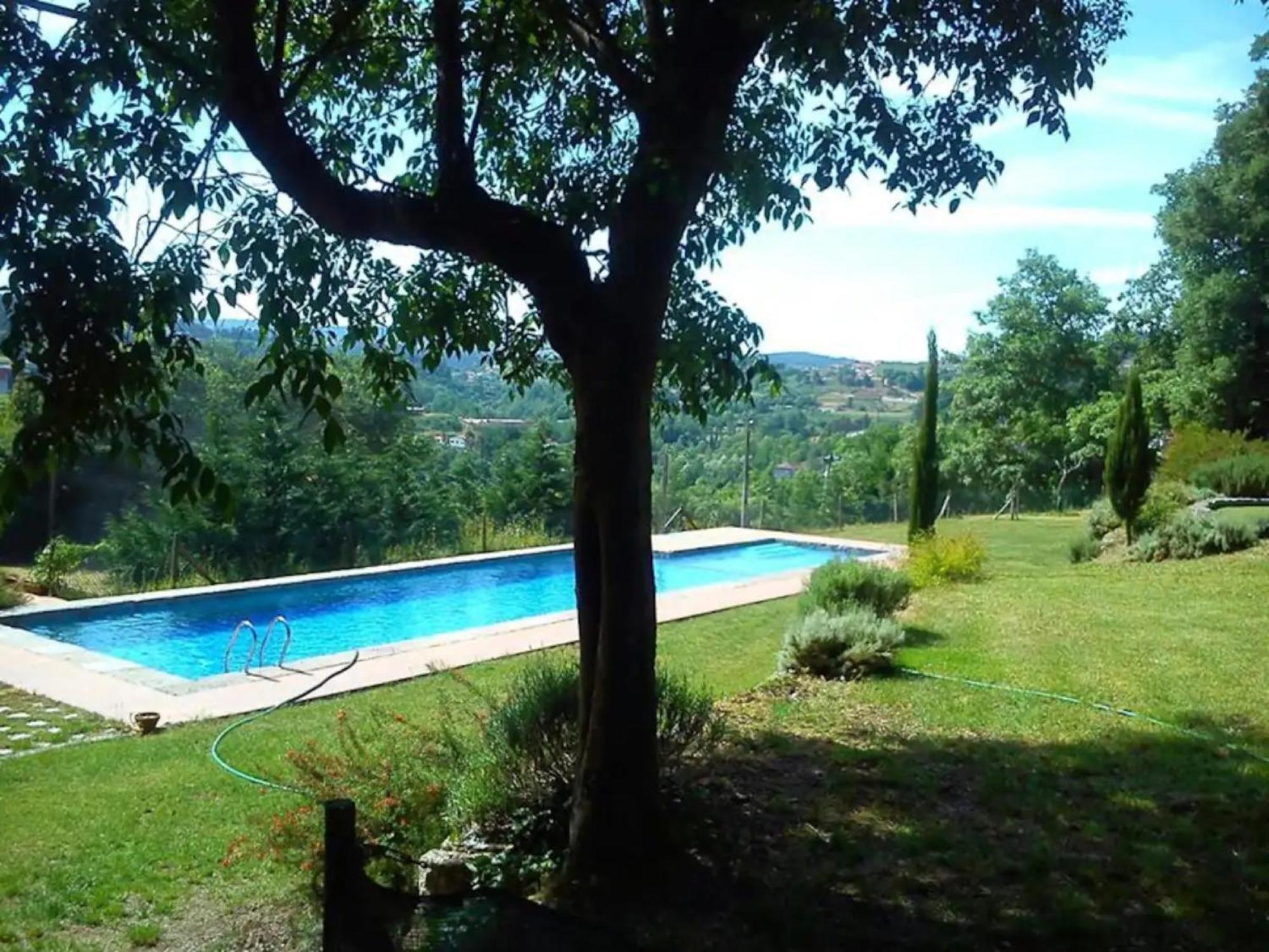Casa de Andrães Magnolias view 4