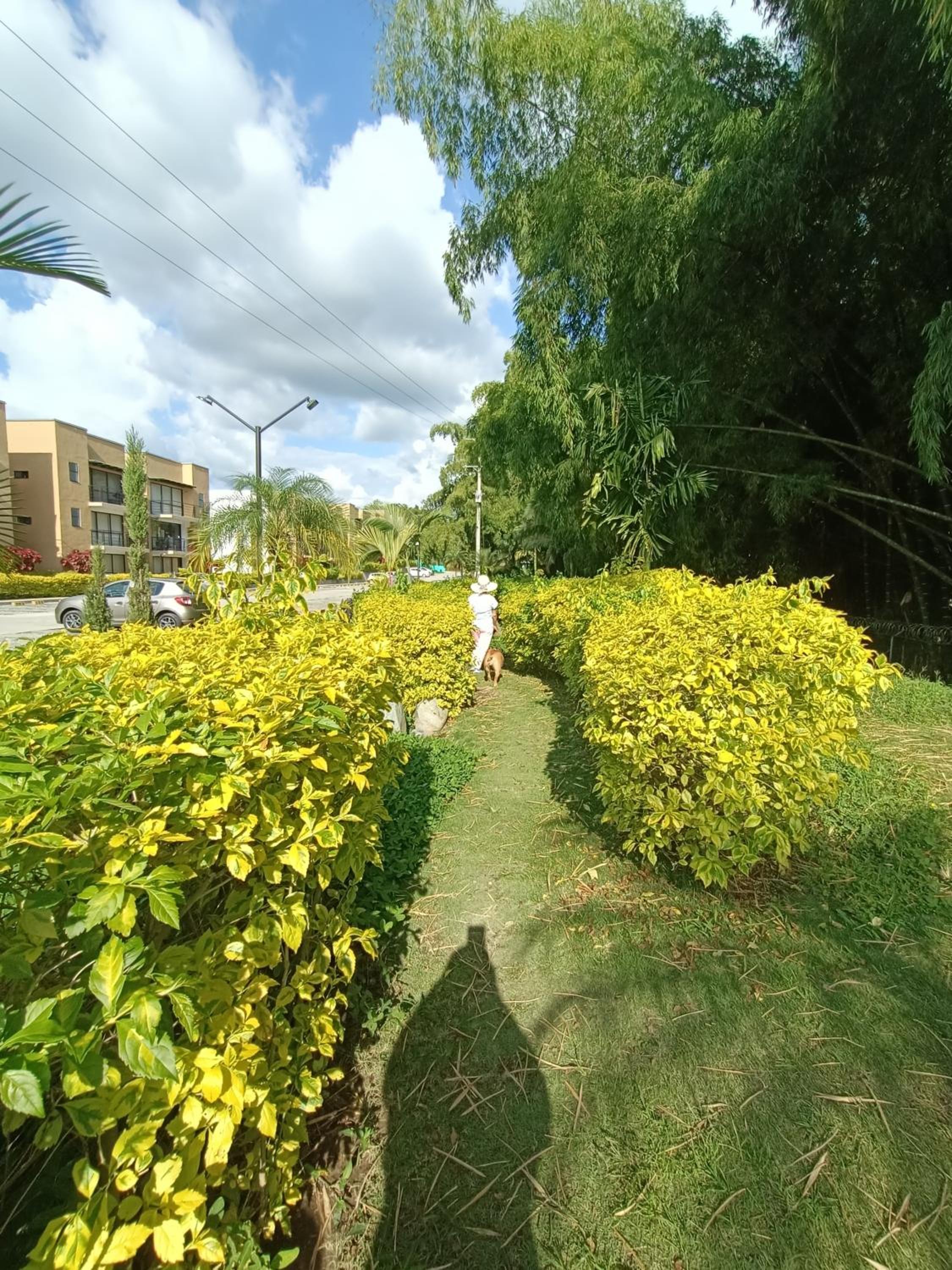 Photo 22