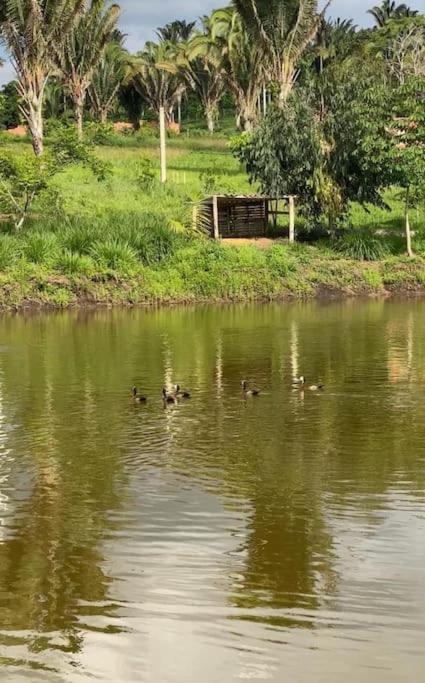 Chalé Recanto dos pássaros.