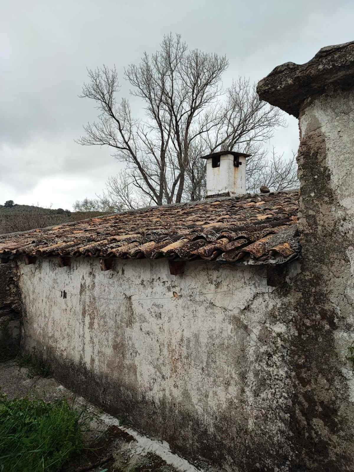 Marios house