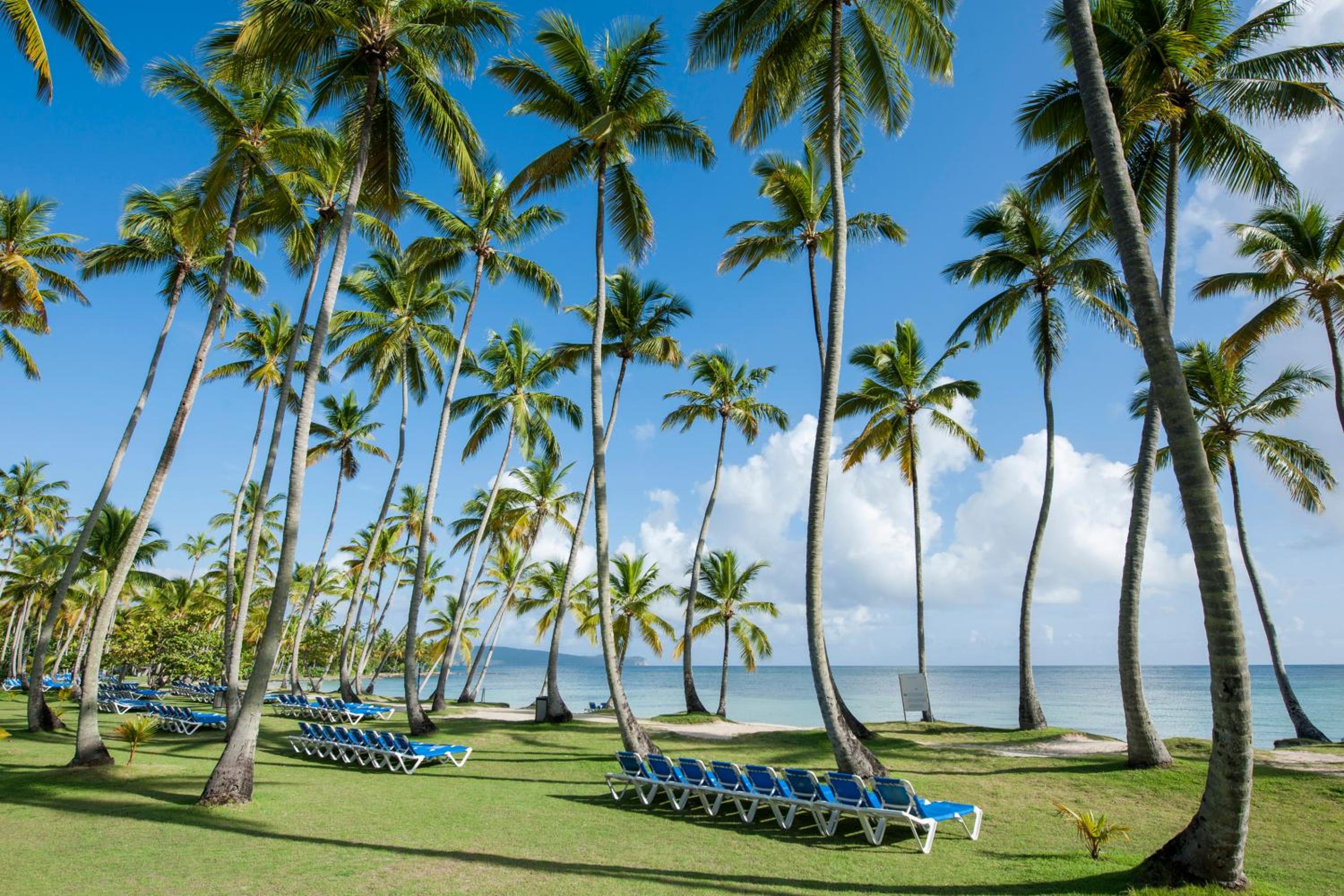 Wyndham Alltra Samana All Inclusive Resort