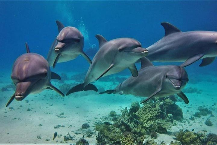 Hurghada Tours
