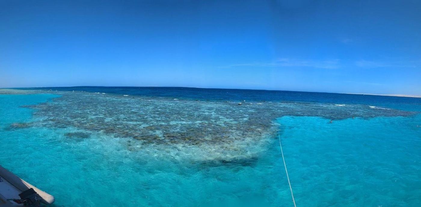 Hurghada Tours
