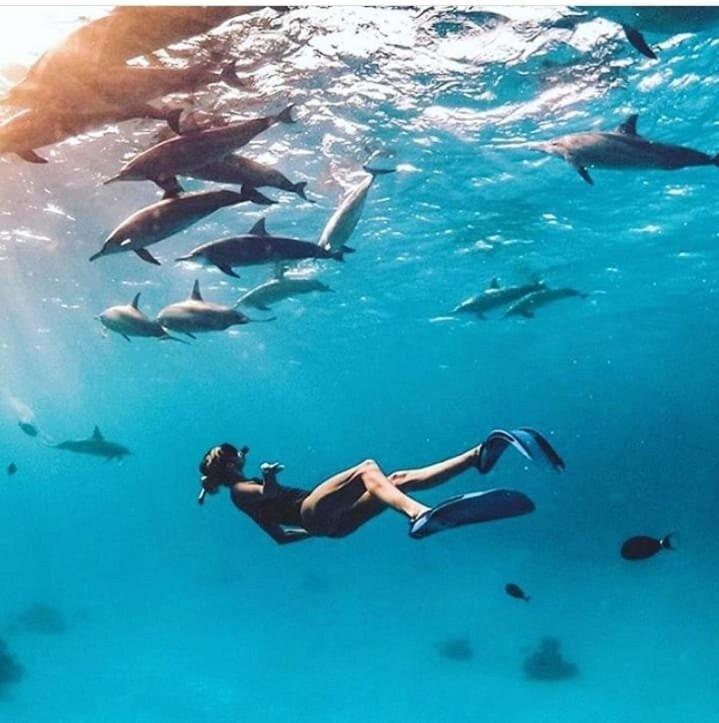 Hurghada Tours