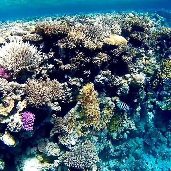 Hurghada Tours