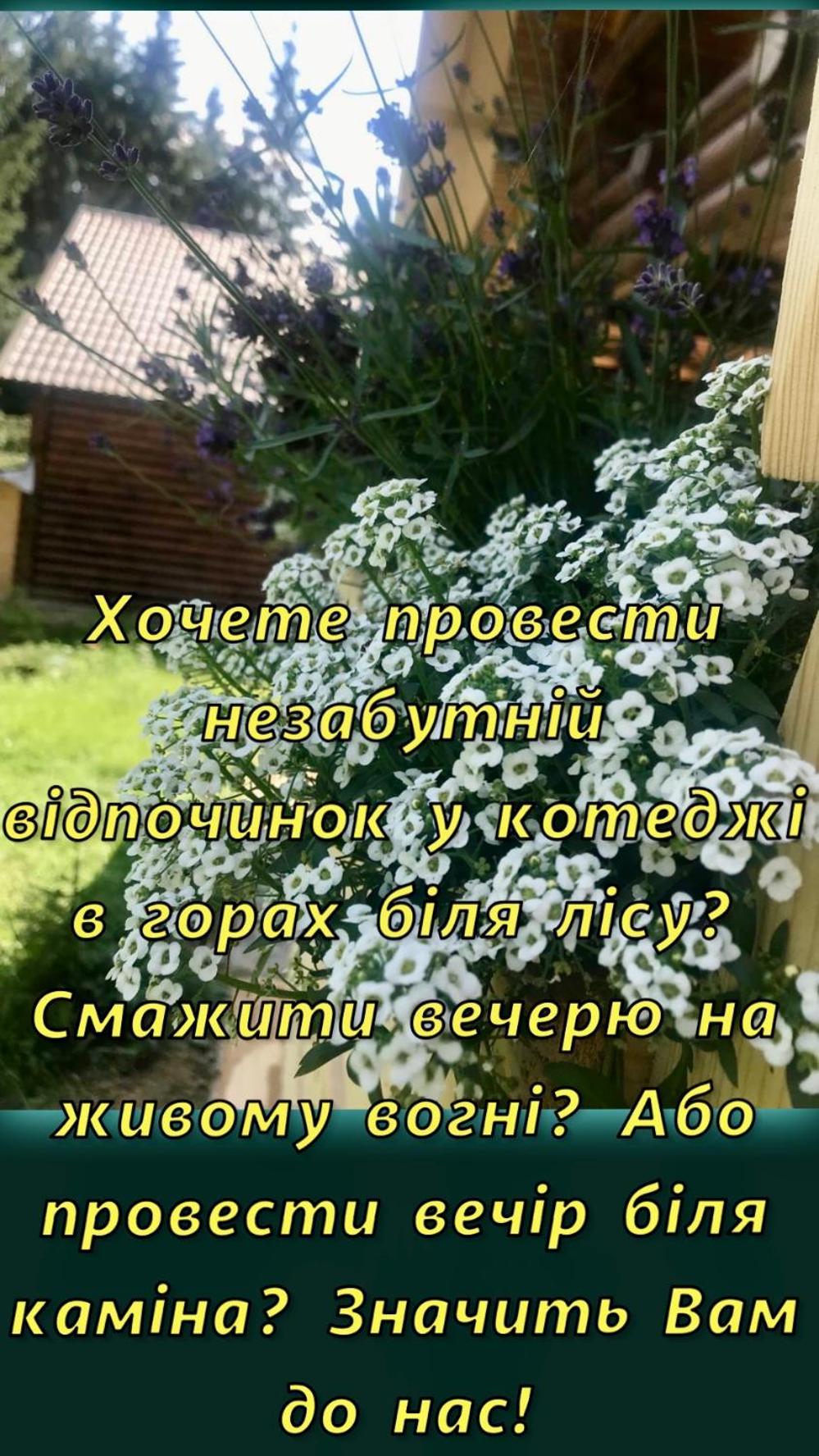 Cottage Kalinka
