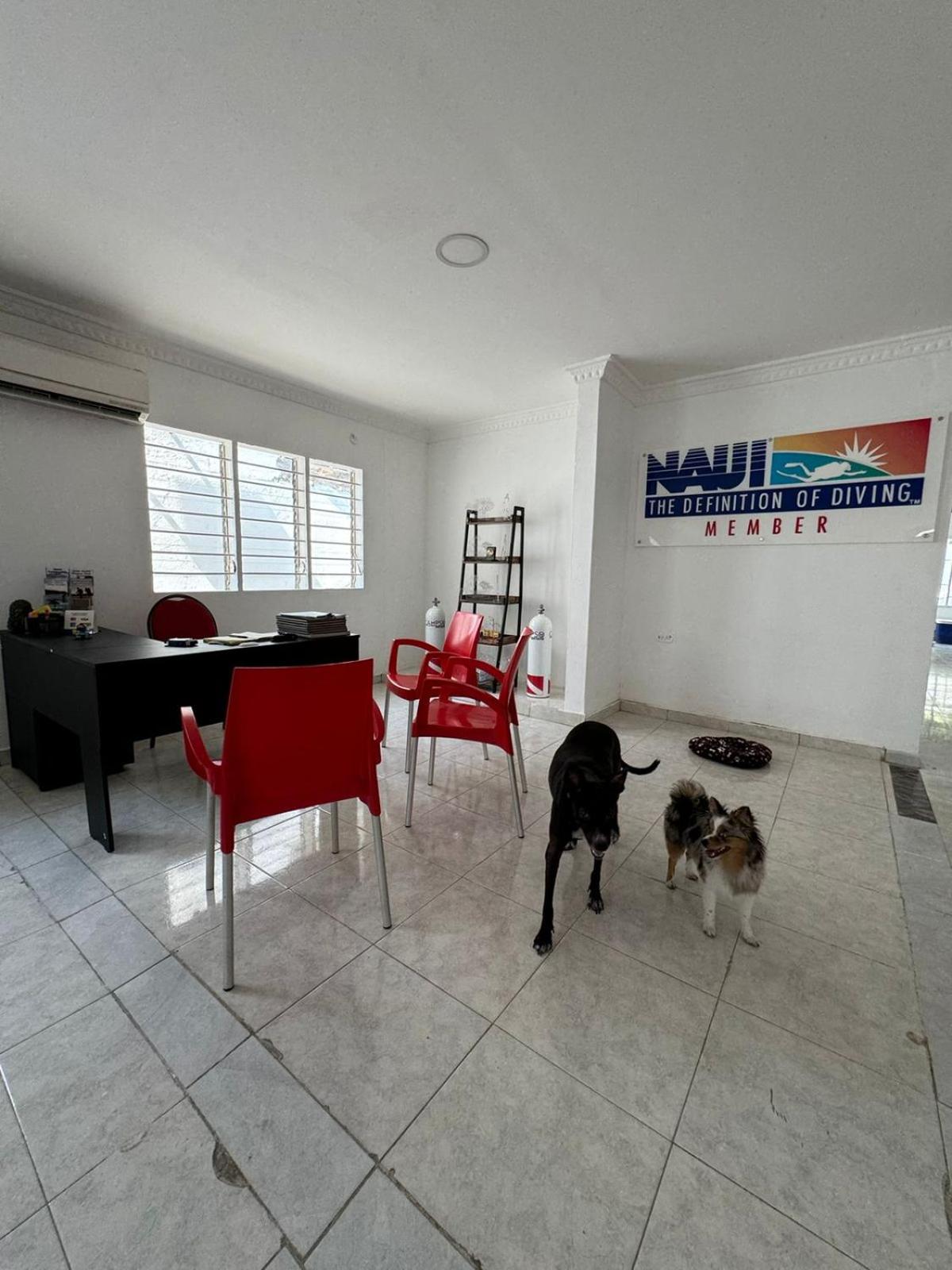CALIPSO DIVE AND PET CENTER
