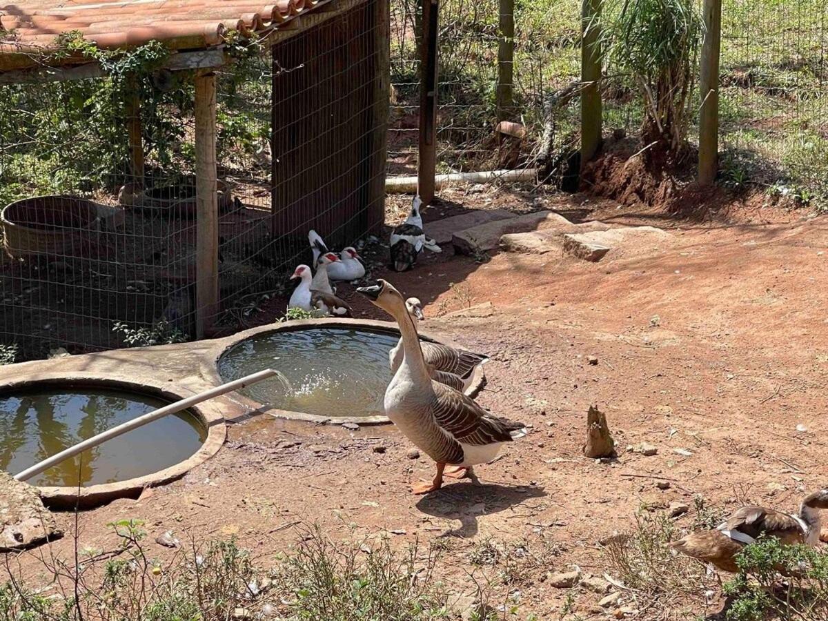 Sítio incrível com piscina e lago