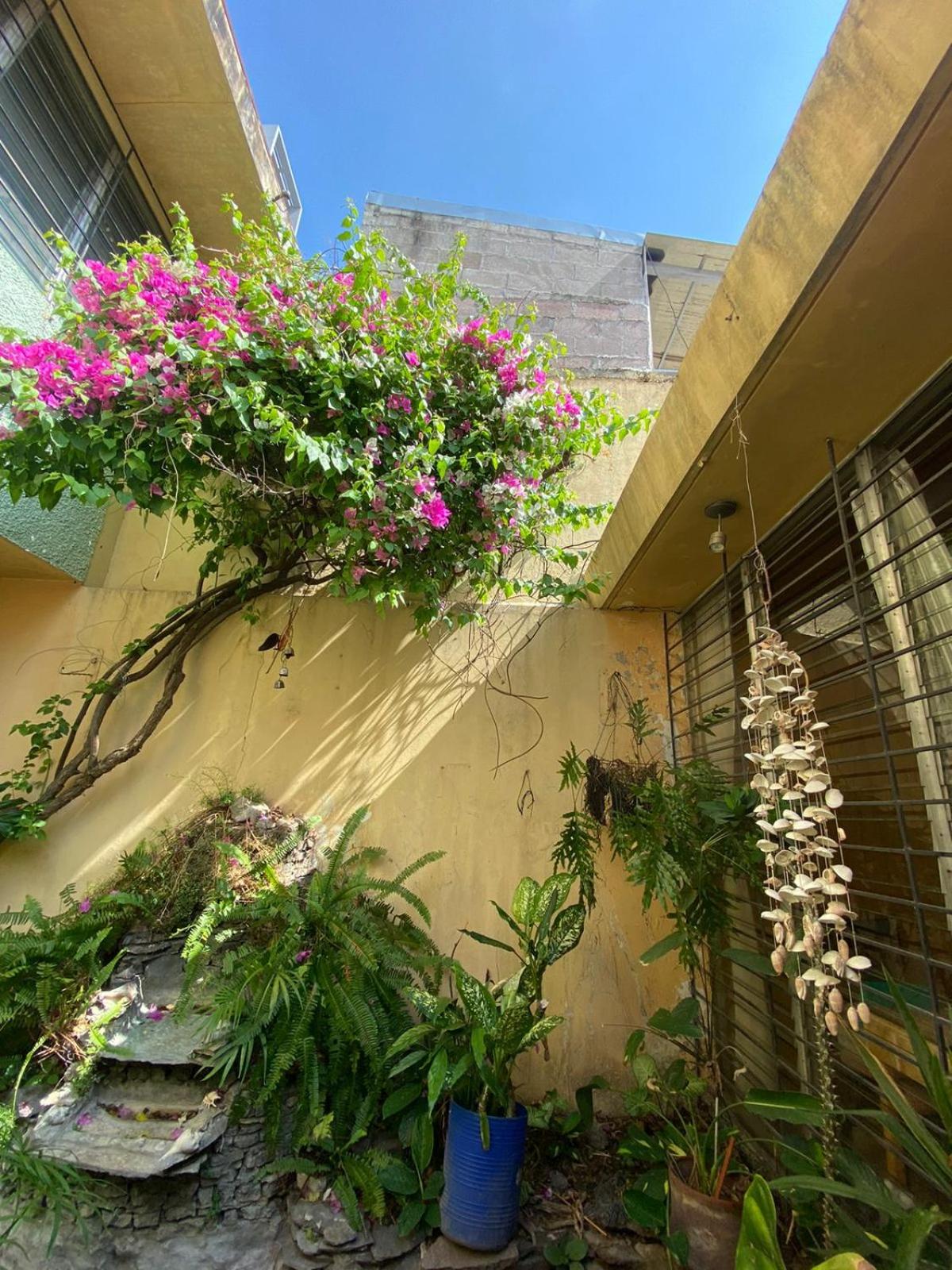 Photo 7
