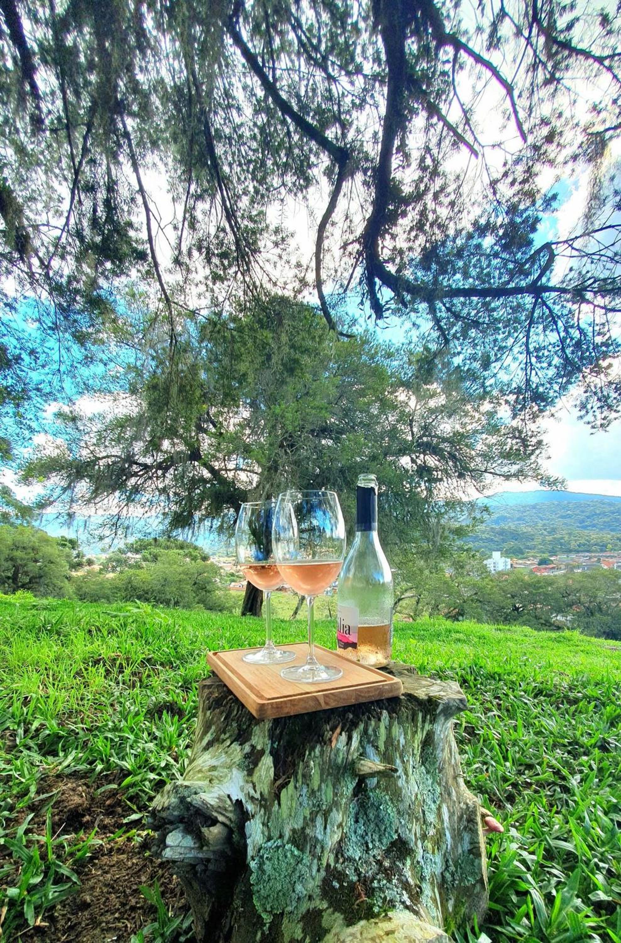Cabana Canto Lindo - Urubici-SC view 3