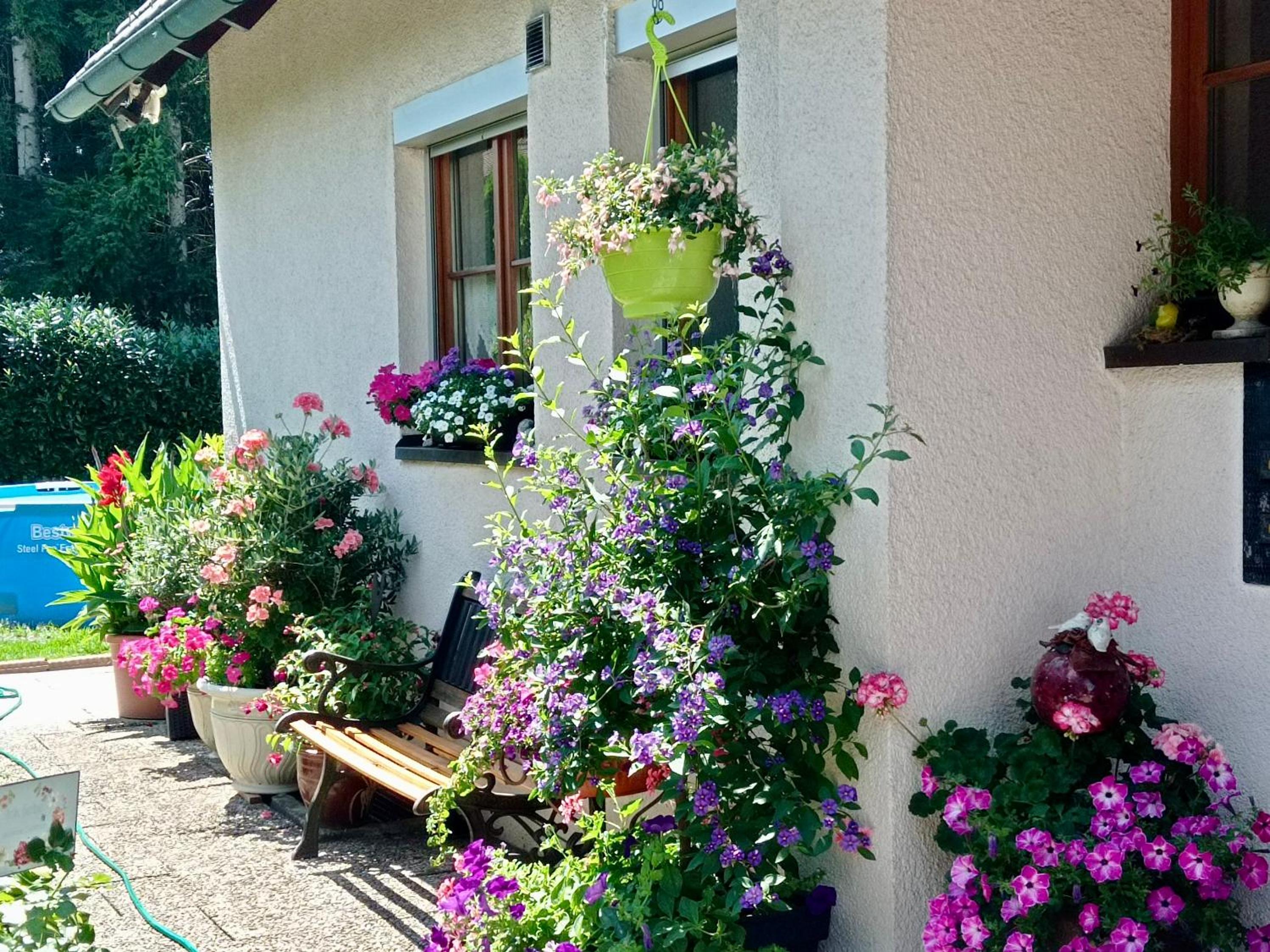 Ferienwohnung Blumenoase - gemütliche Ferienwohnung zwischen Allgäu und Bodensee