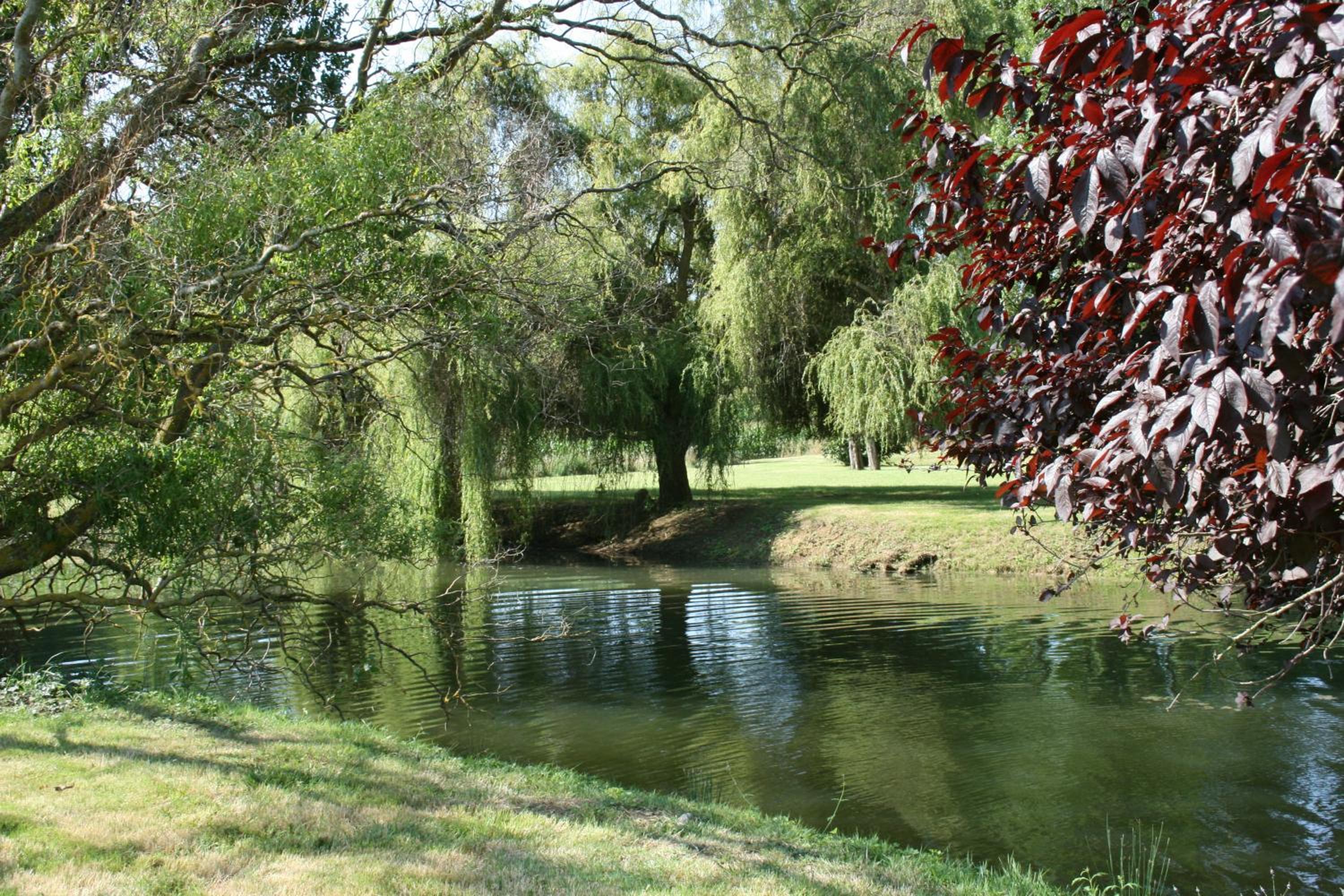 Photo 30