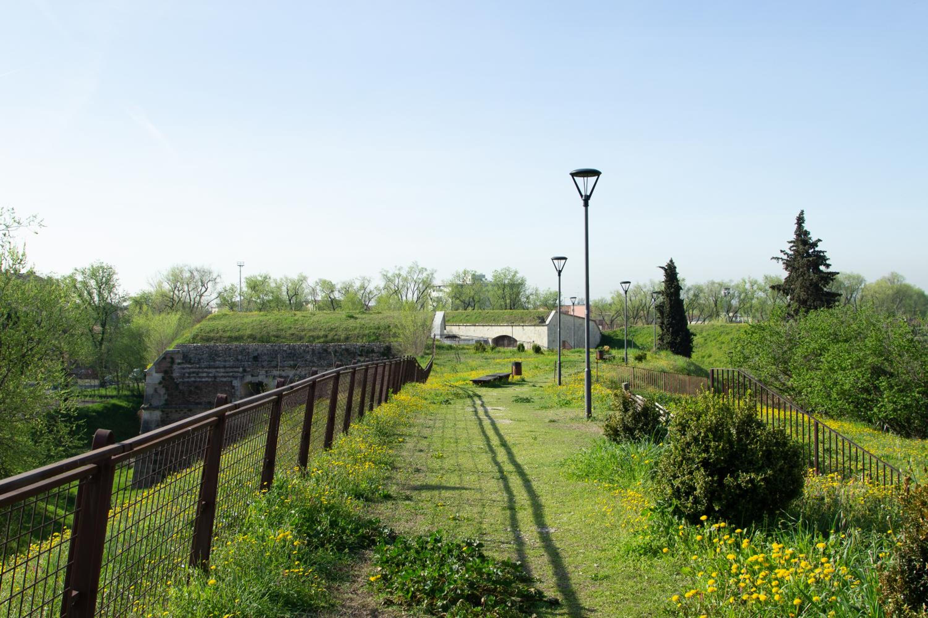 Photo 24