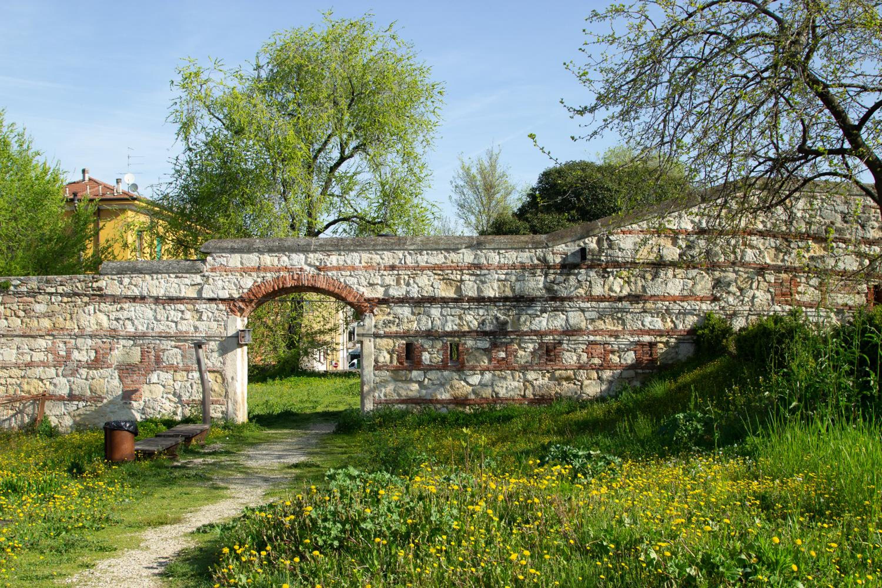 Photo 27