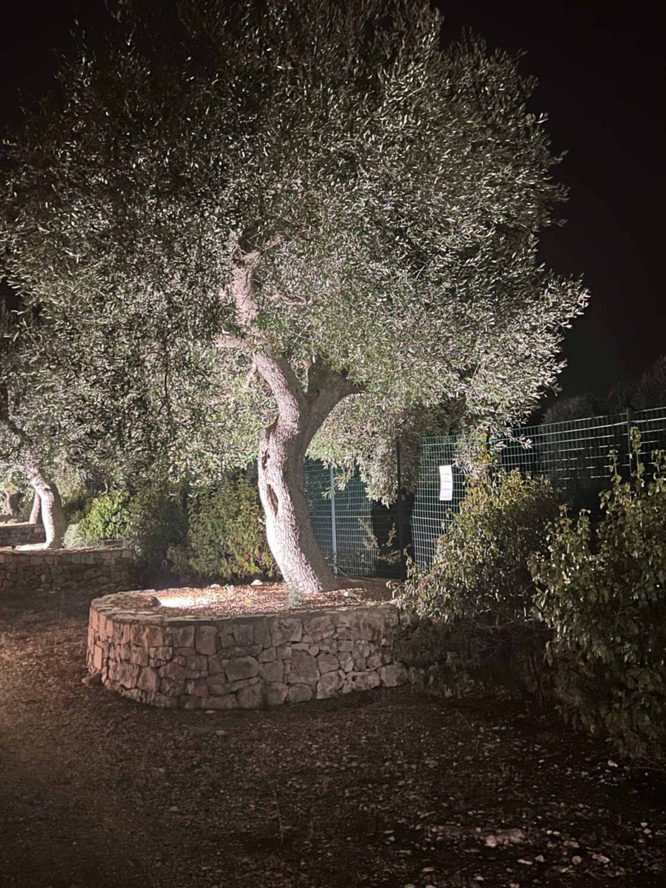 Trullo Tita view 4