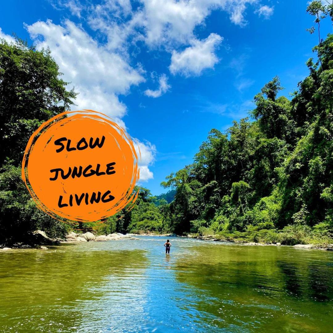 Blue Dot - jungle eco hostel