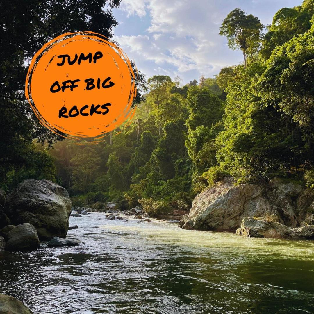 Blue Dot - jungle eco hostel