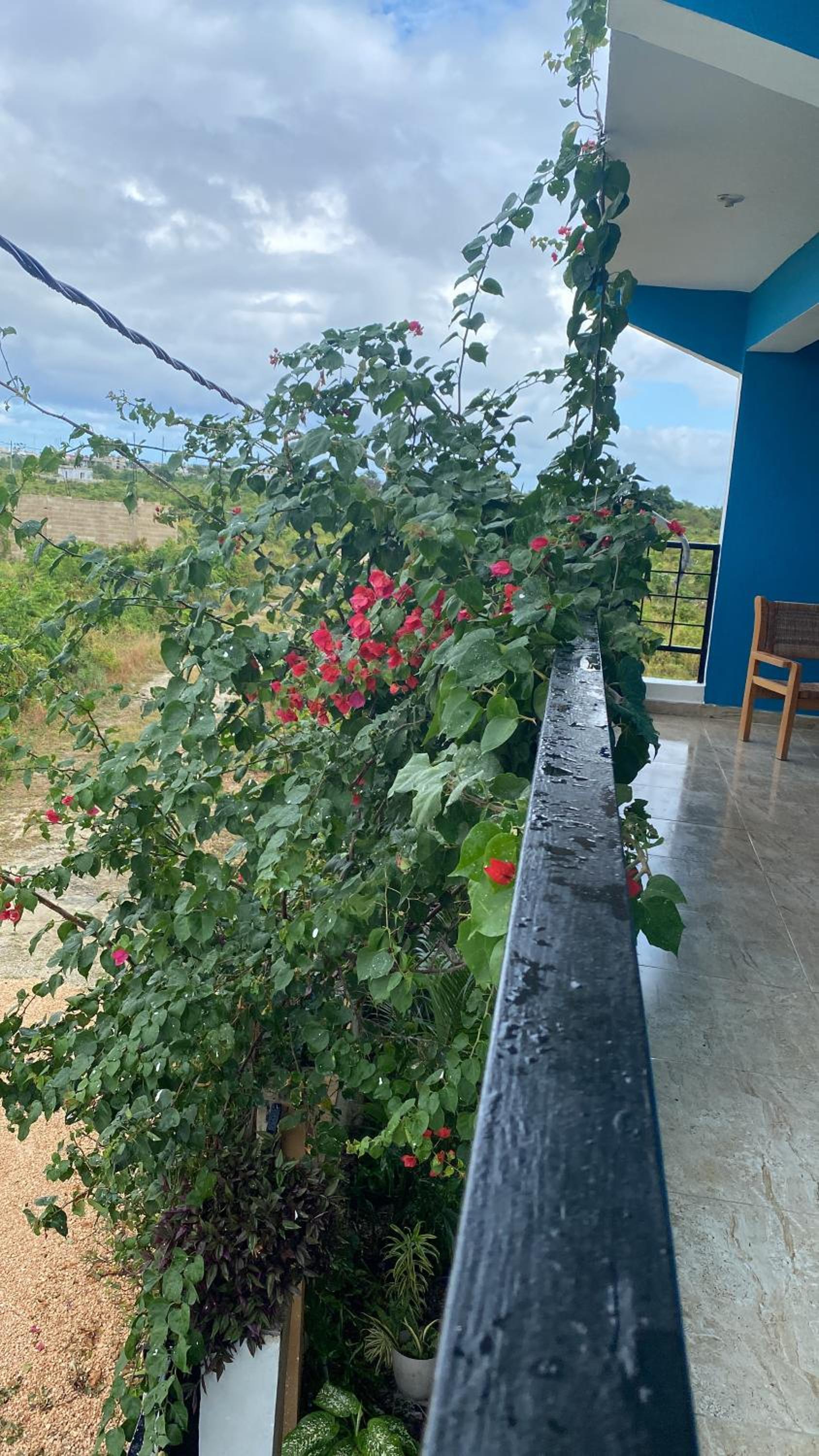 Guasimal Recreational House