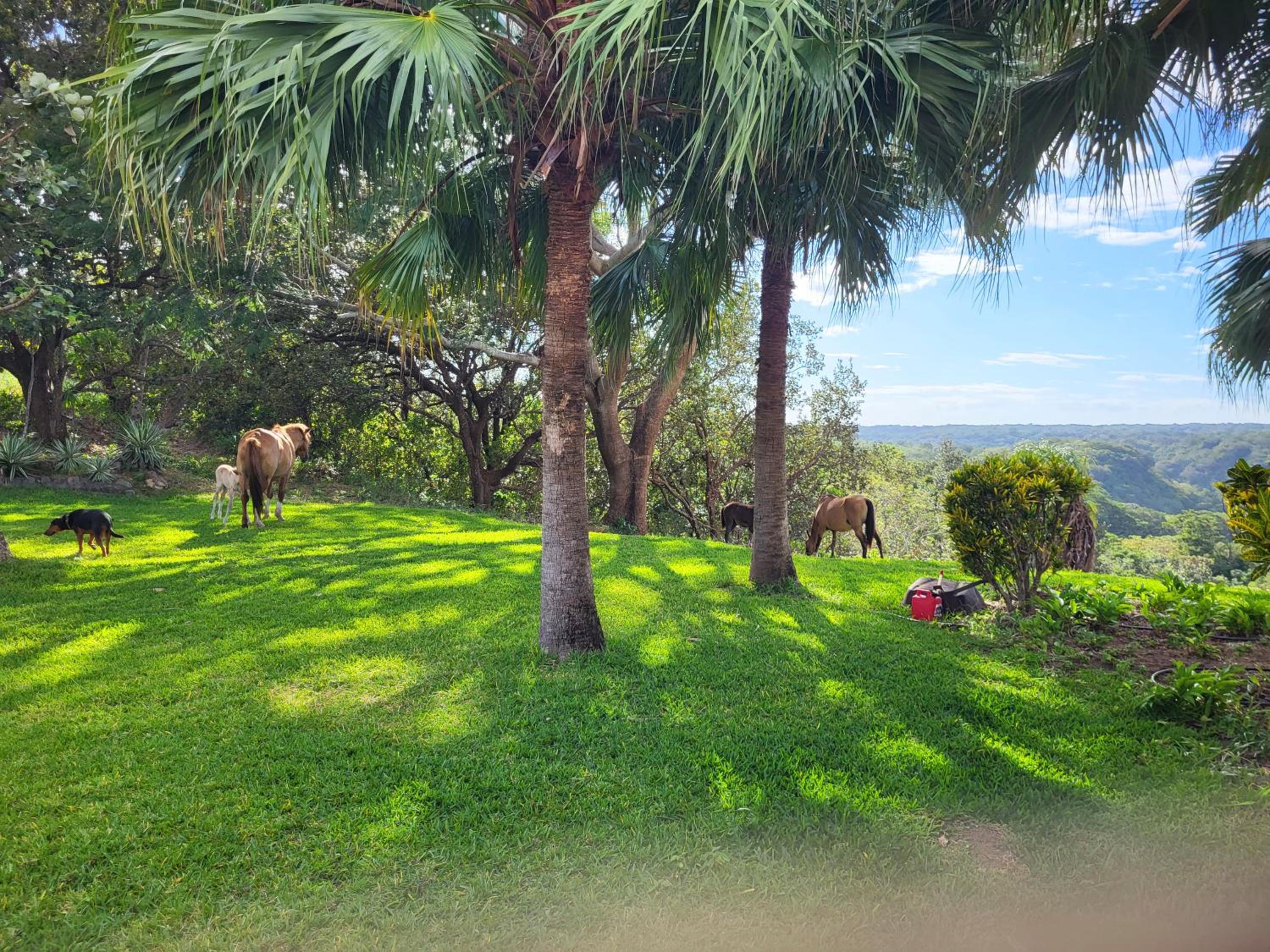 Hacienda en Los Volcanes