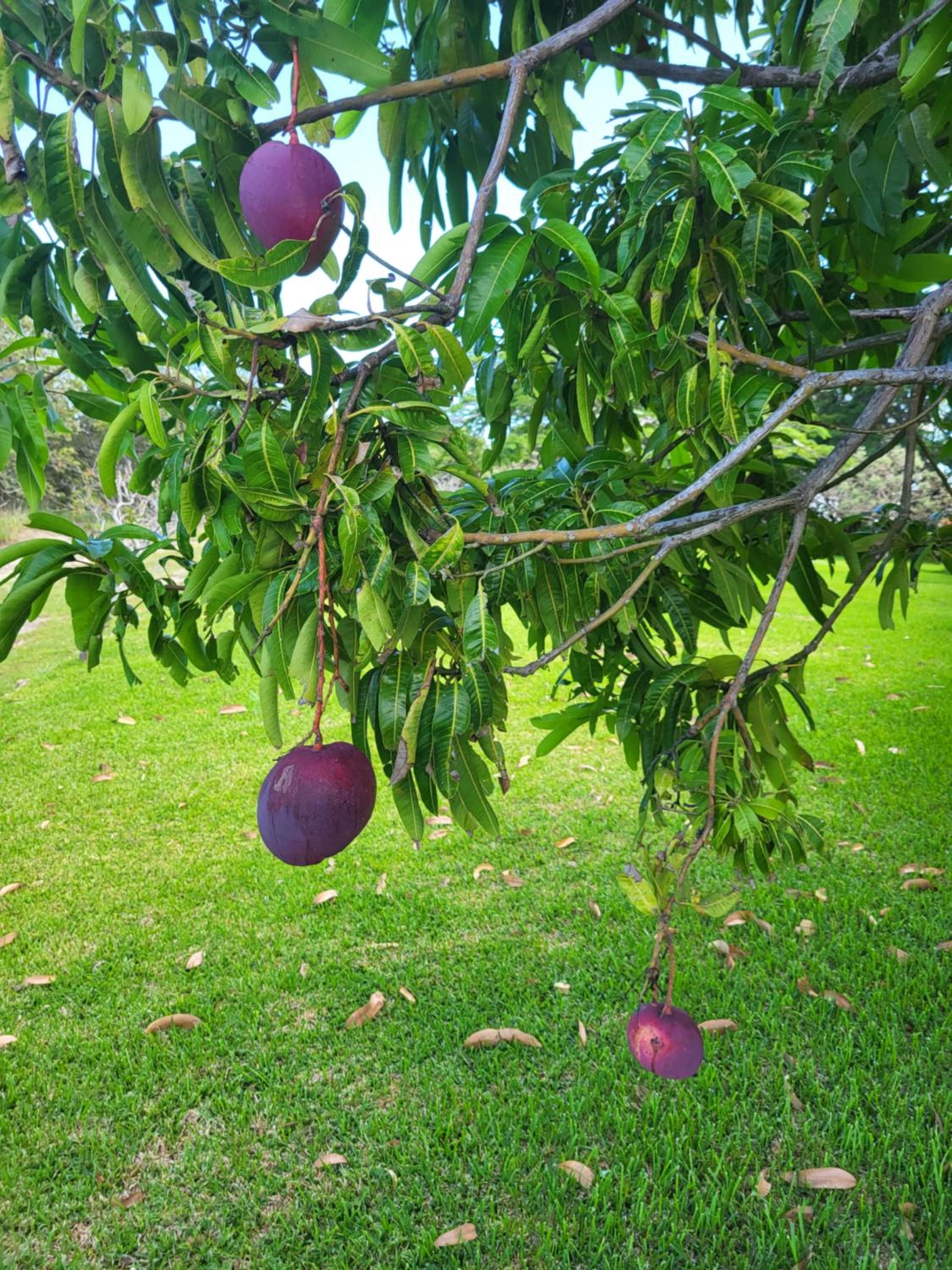 Hacienda en Los Volcanes