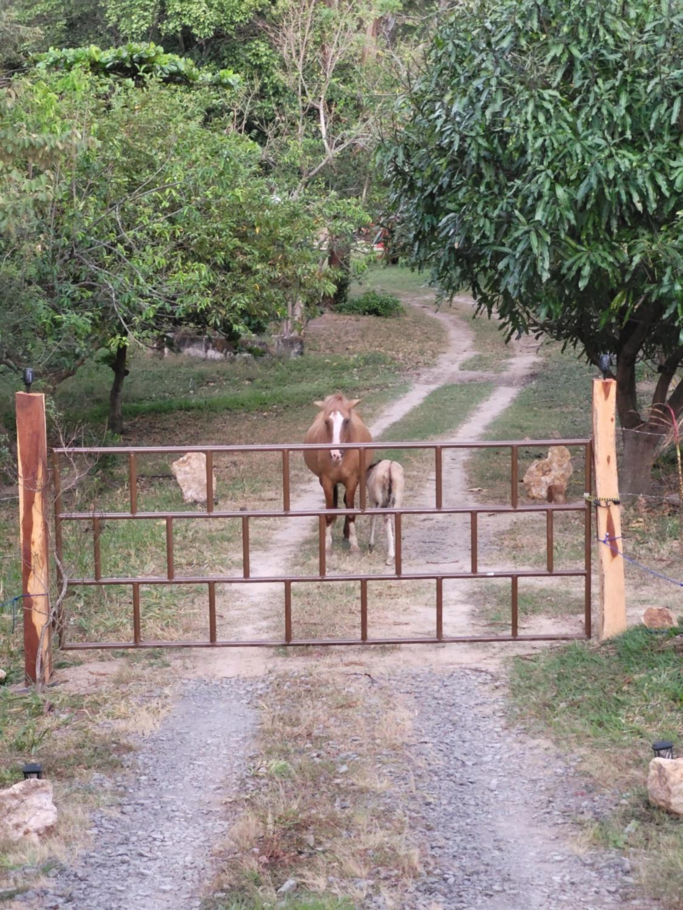Hacienda en Los Volcanes