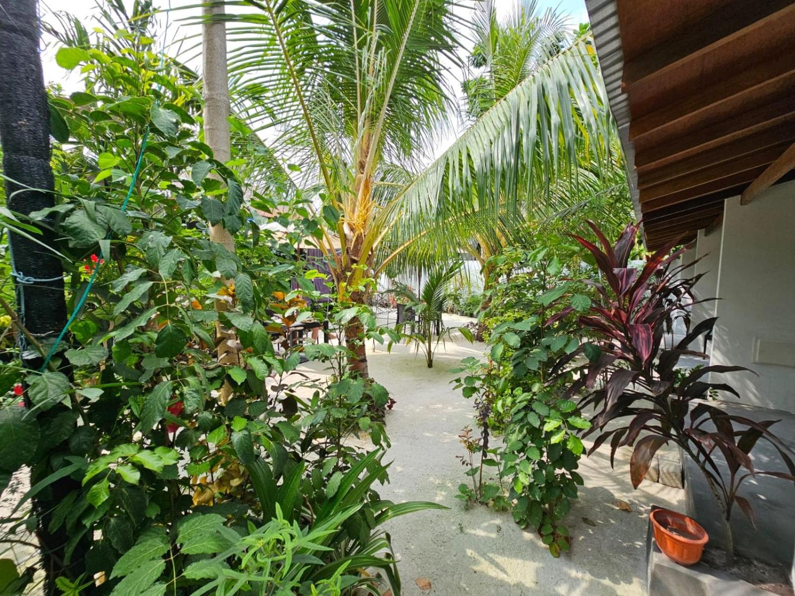 Photo 20