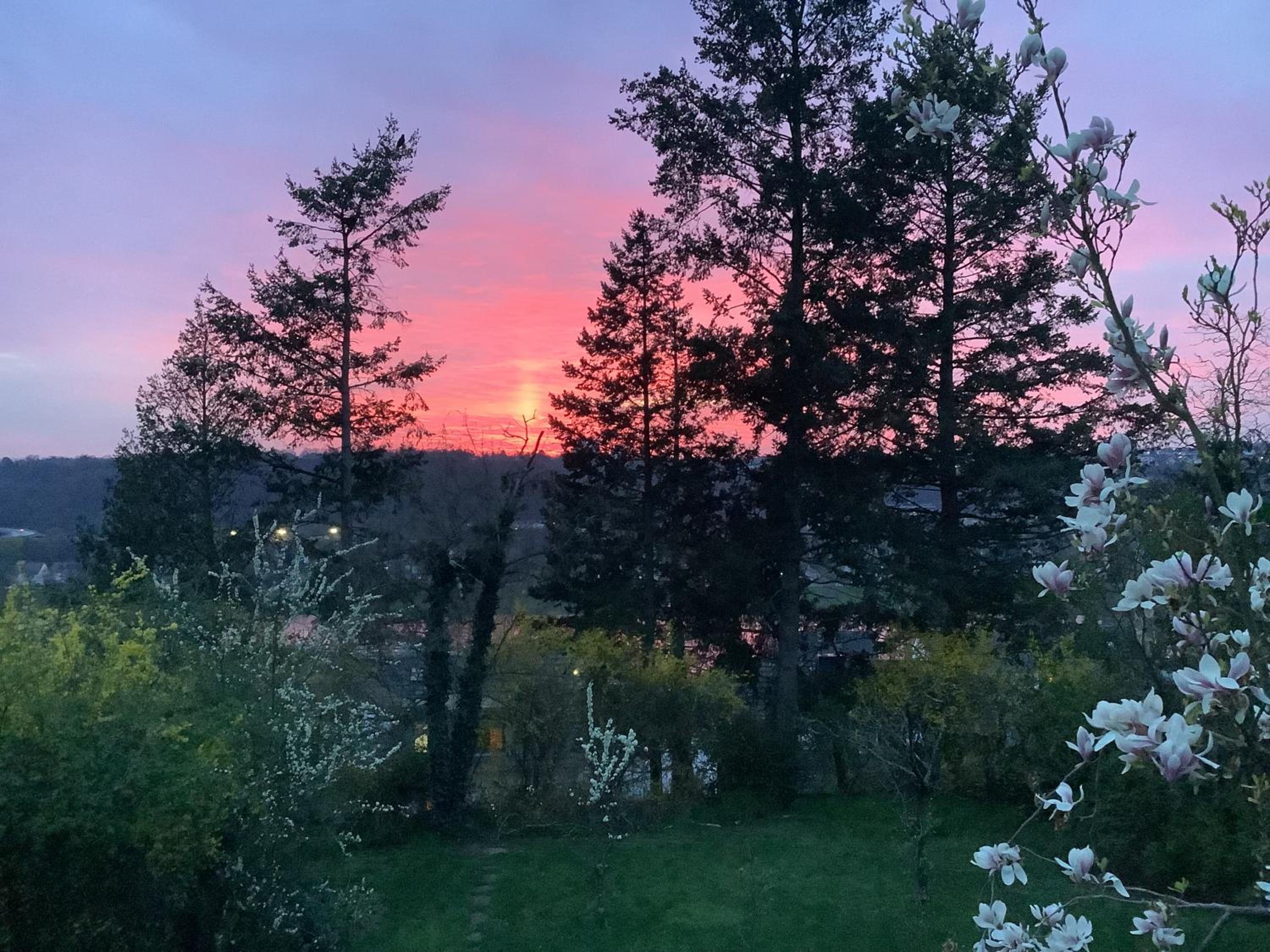 Ferienwohnung Rheinblick, Sport-Pool