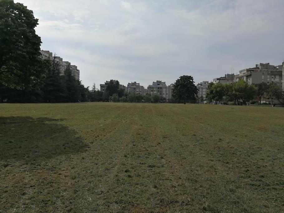 Photo 24