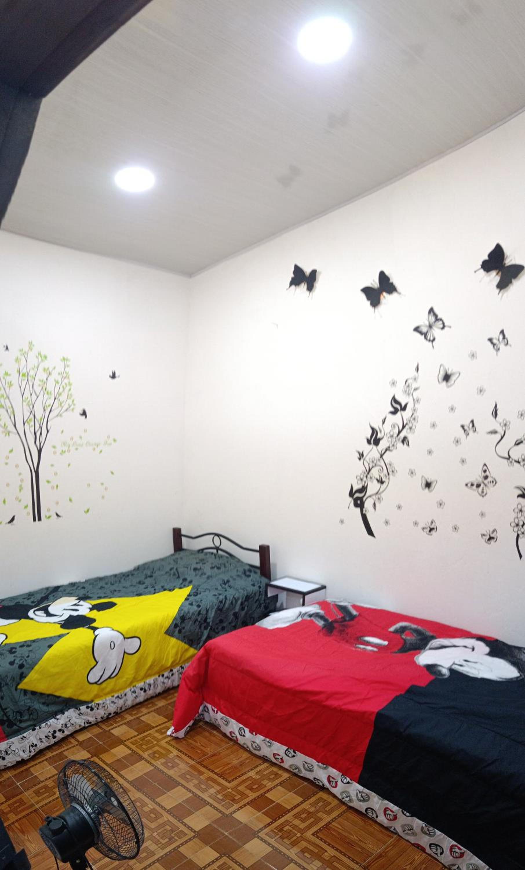 CASA DANY