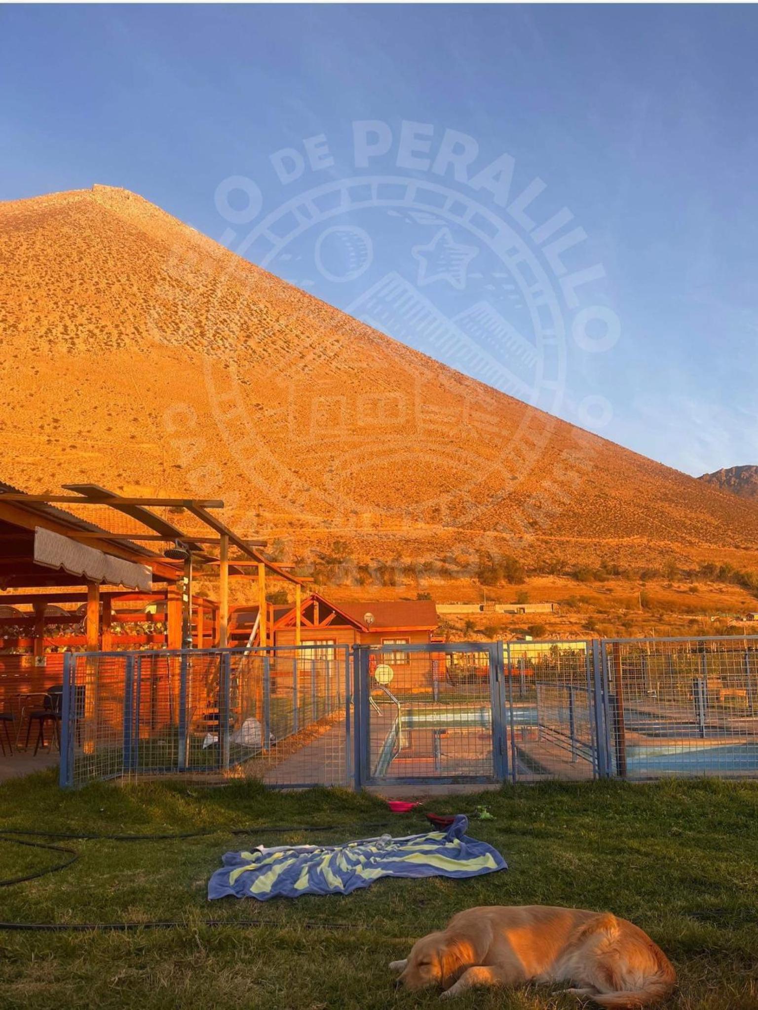 Cabañas Vicuña Cielo de Peralillo - Valle de Elqui