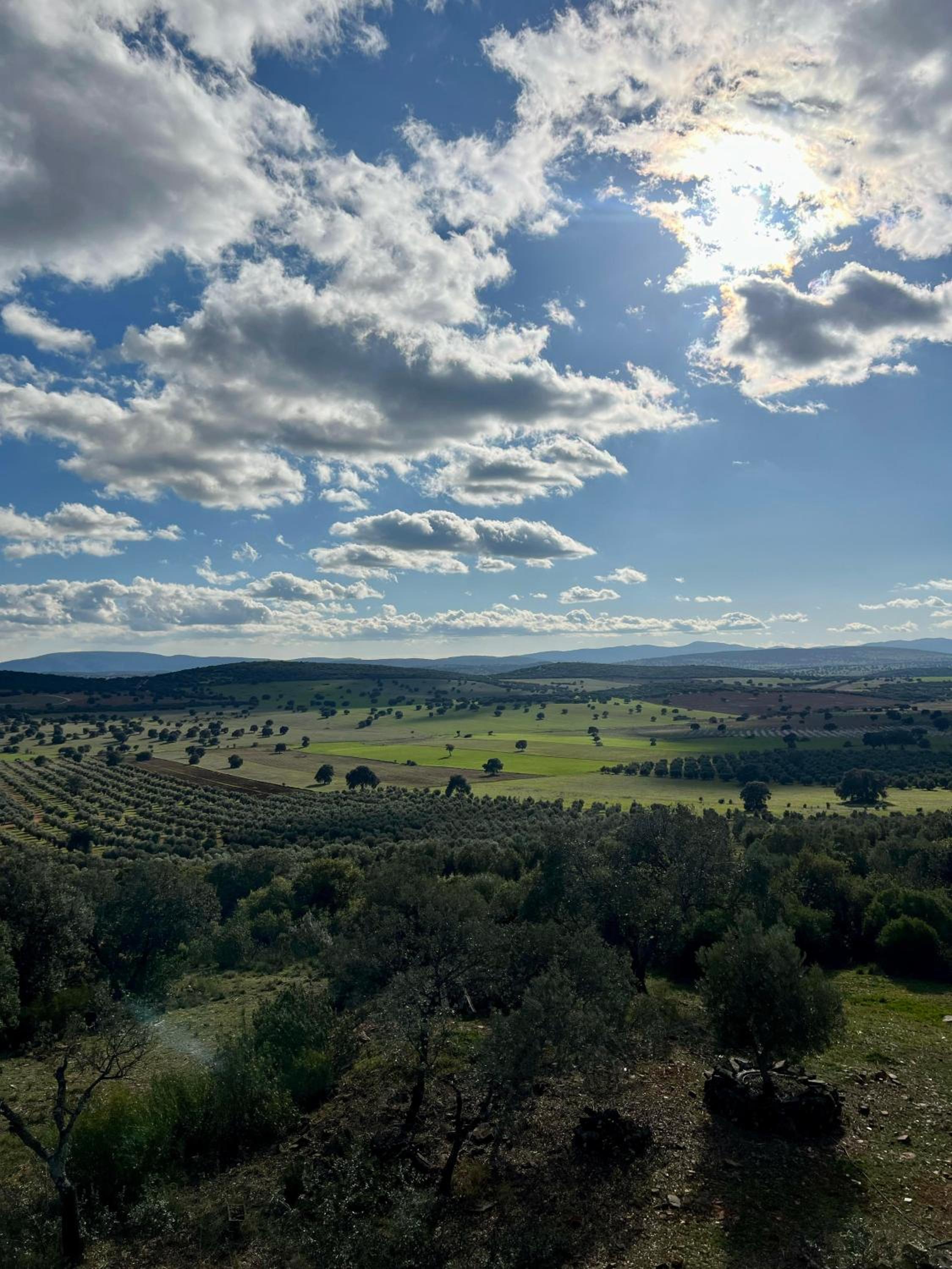 Casa Rural la Morera
