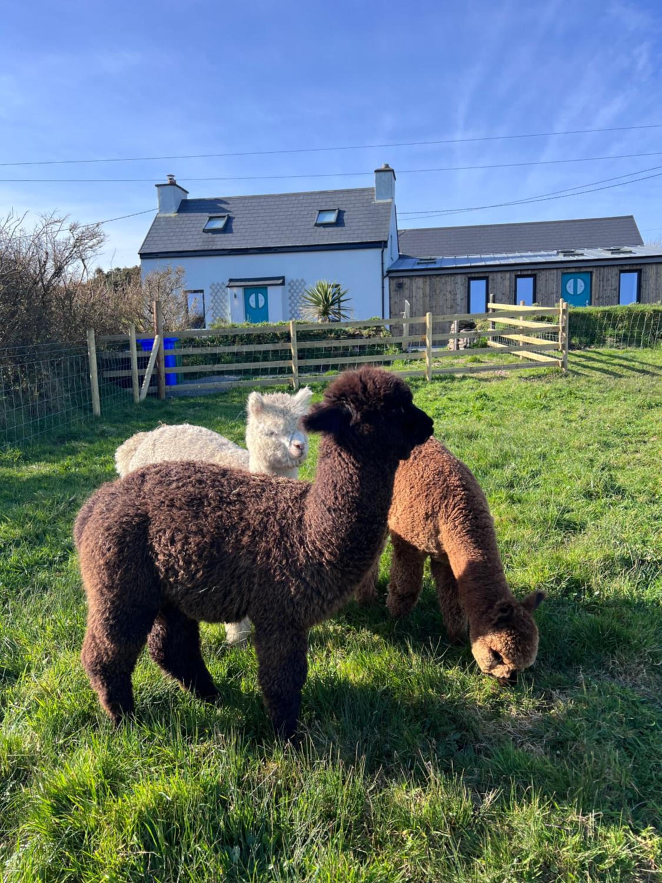 Wild Wild West Holiday Cottages view 3