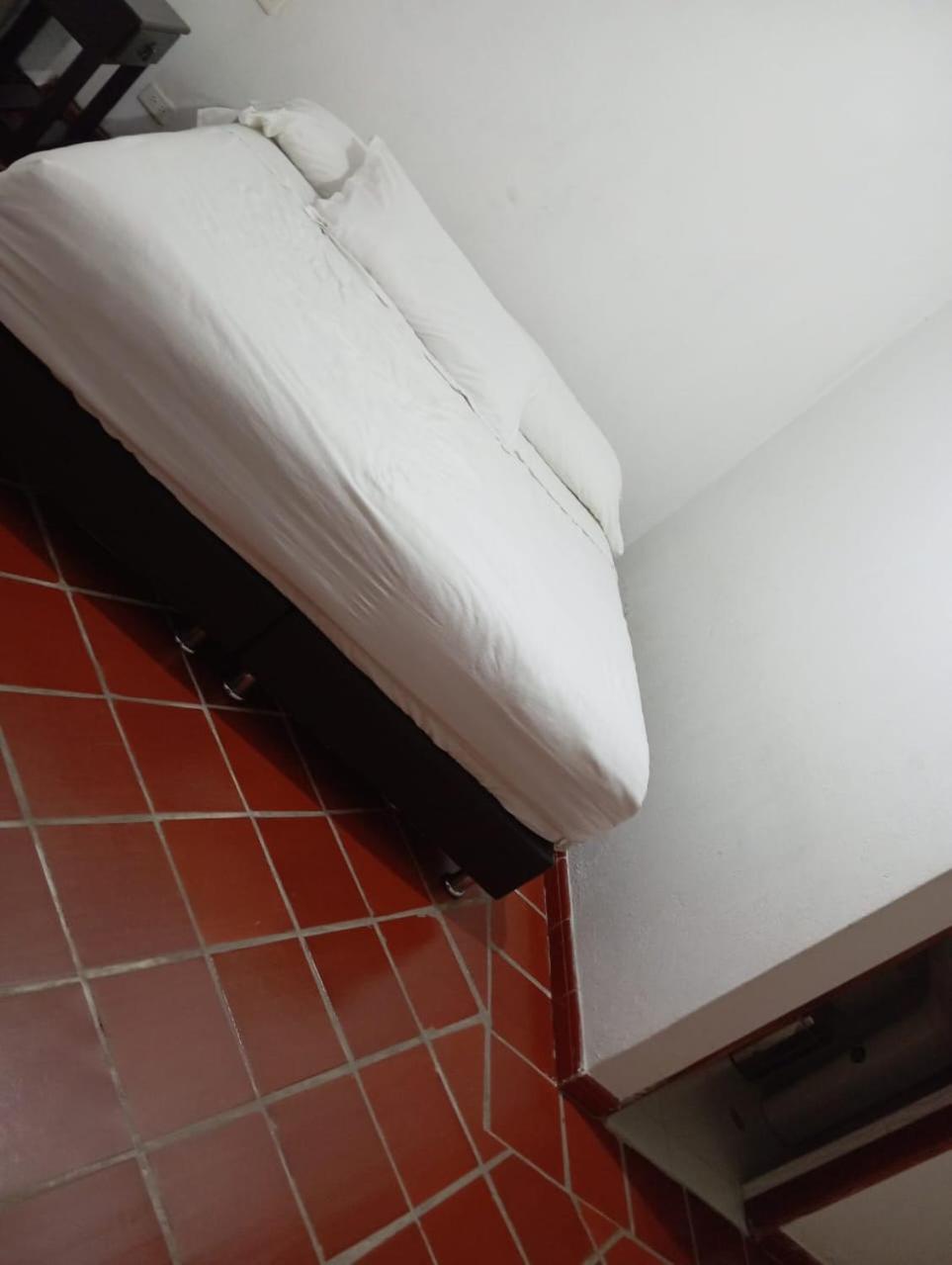 Hotel ammonite