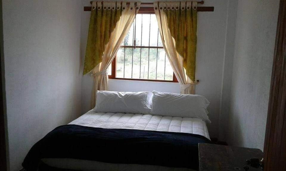 Hotel ammonite