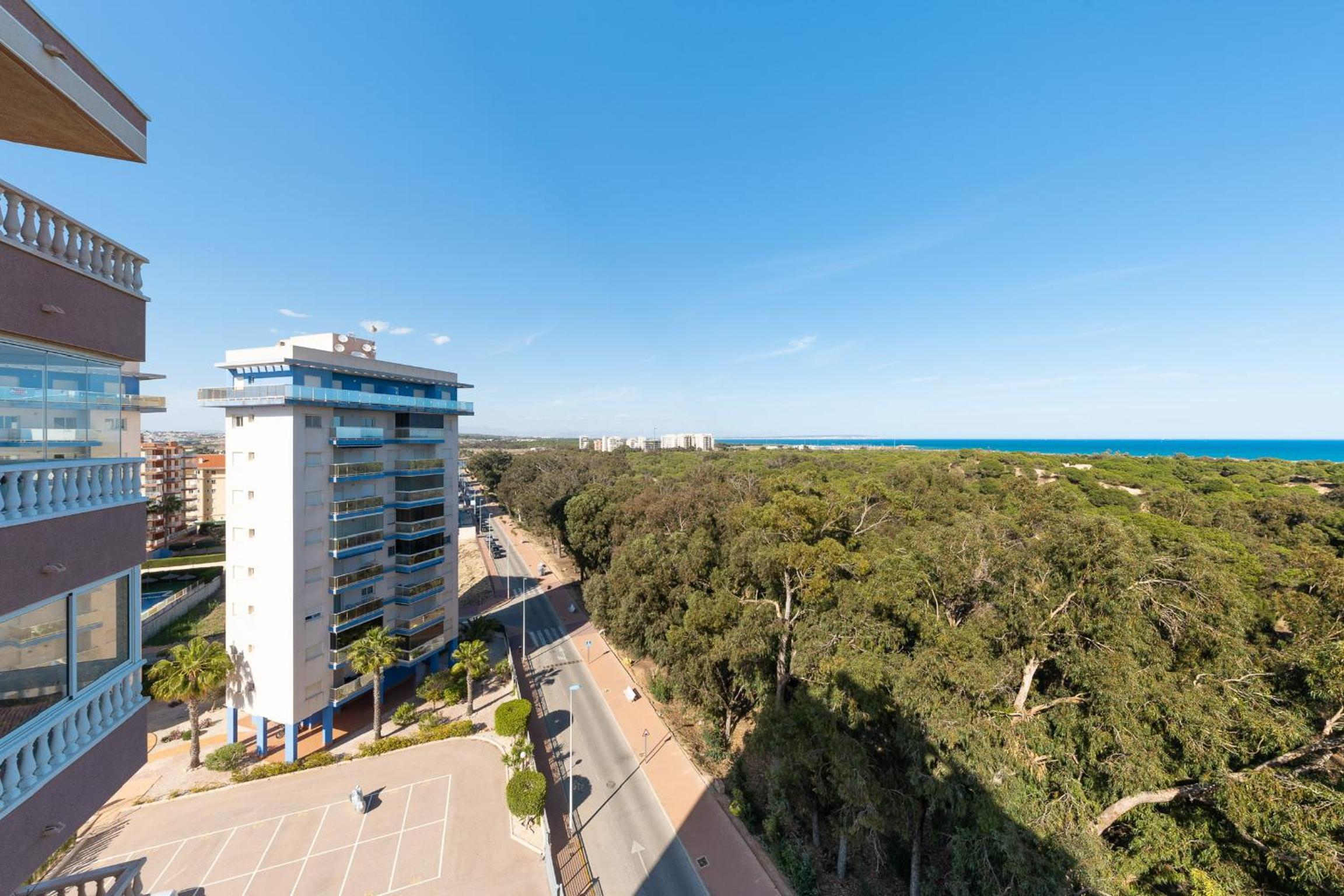 Guardamar Pinada SolyMar